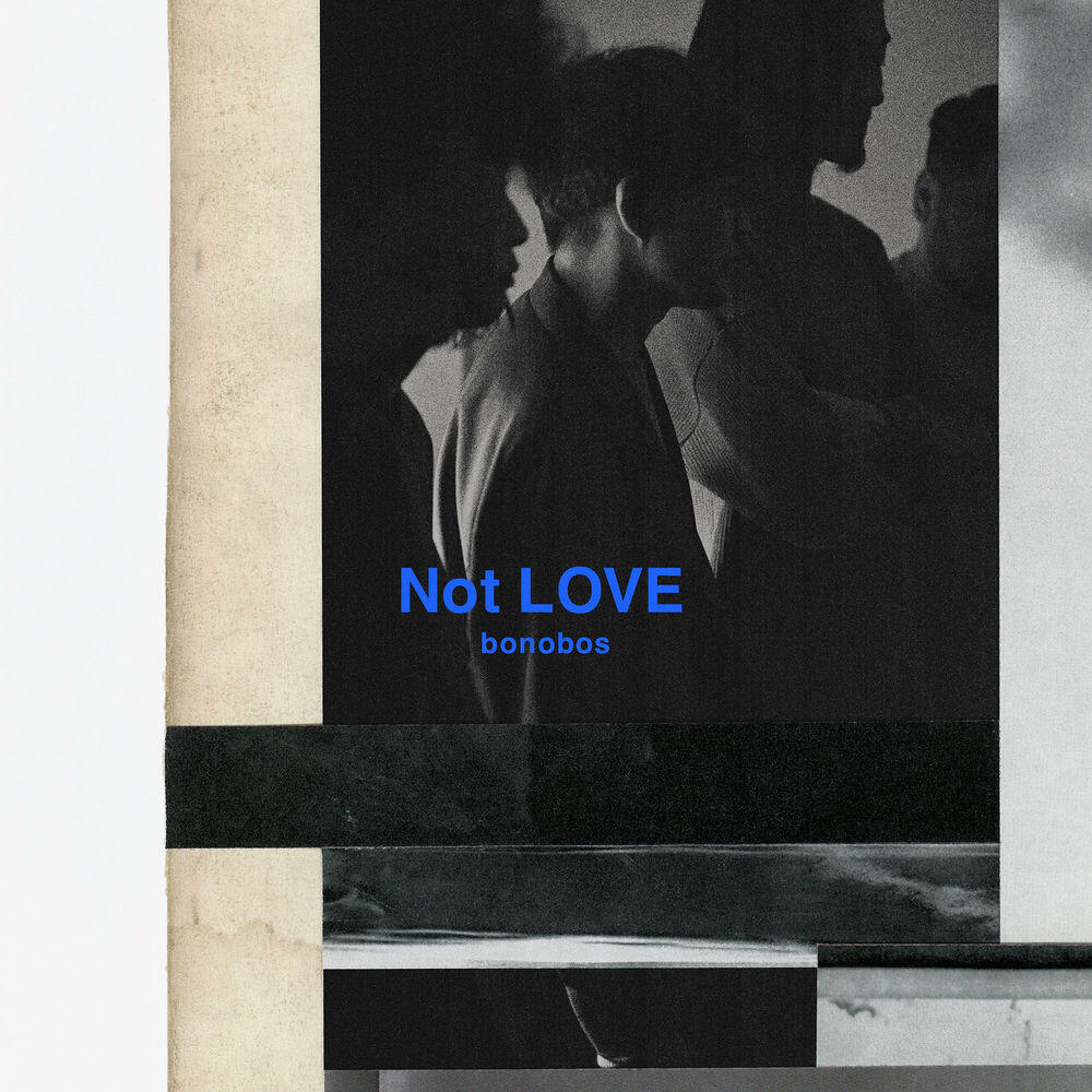Релиз Not LOVE