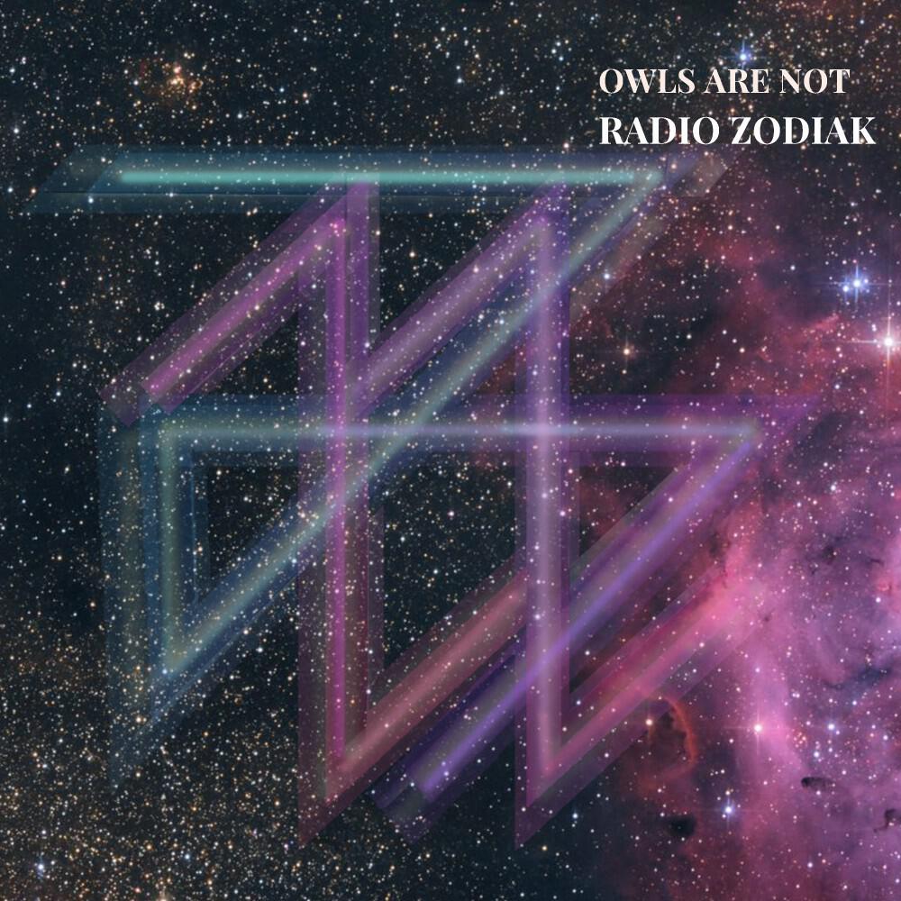 Owls Are Not