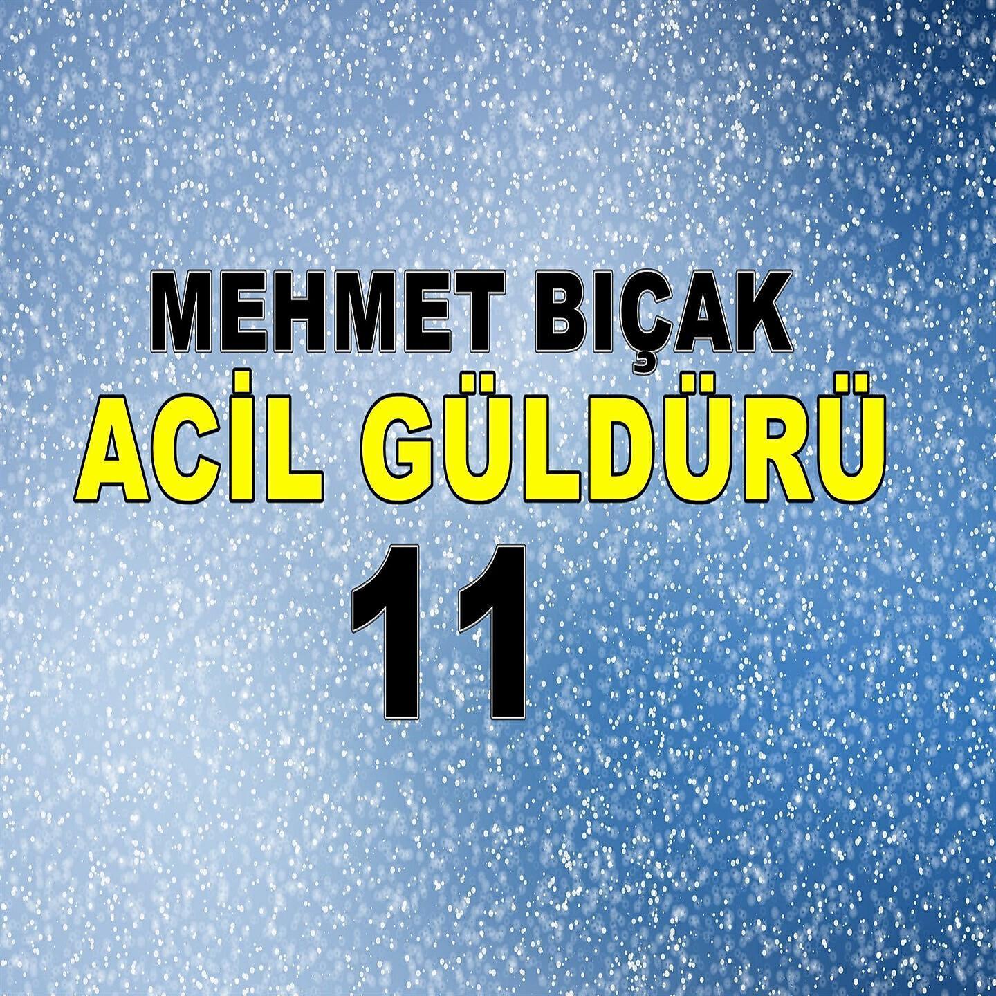 Mehmet Bıçak
