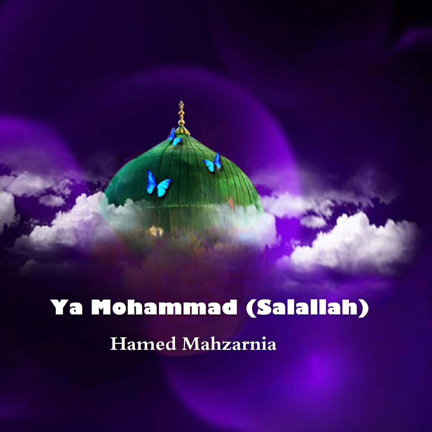 Hamed Mahzarnia