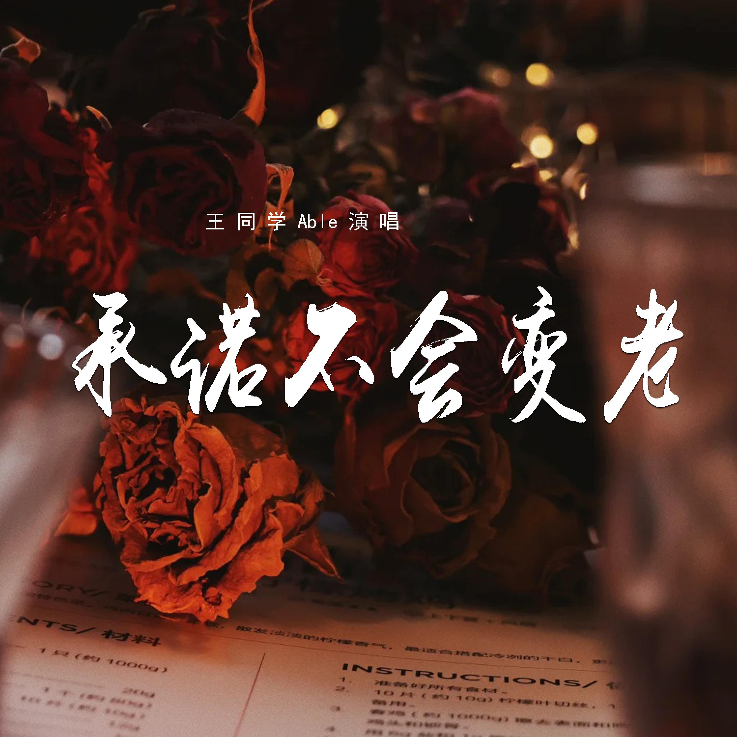 王同学Able