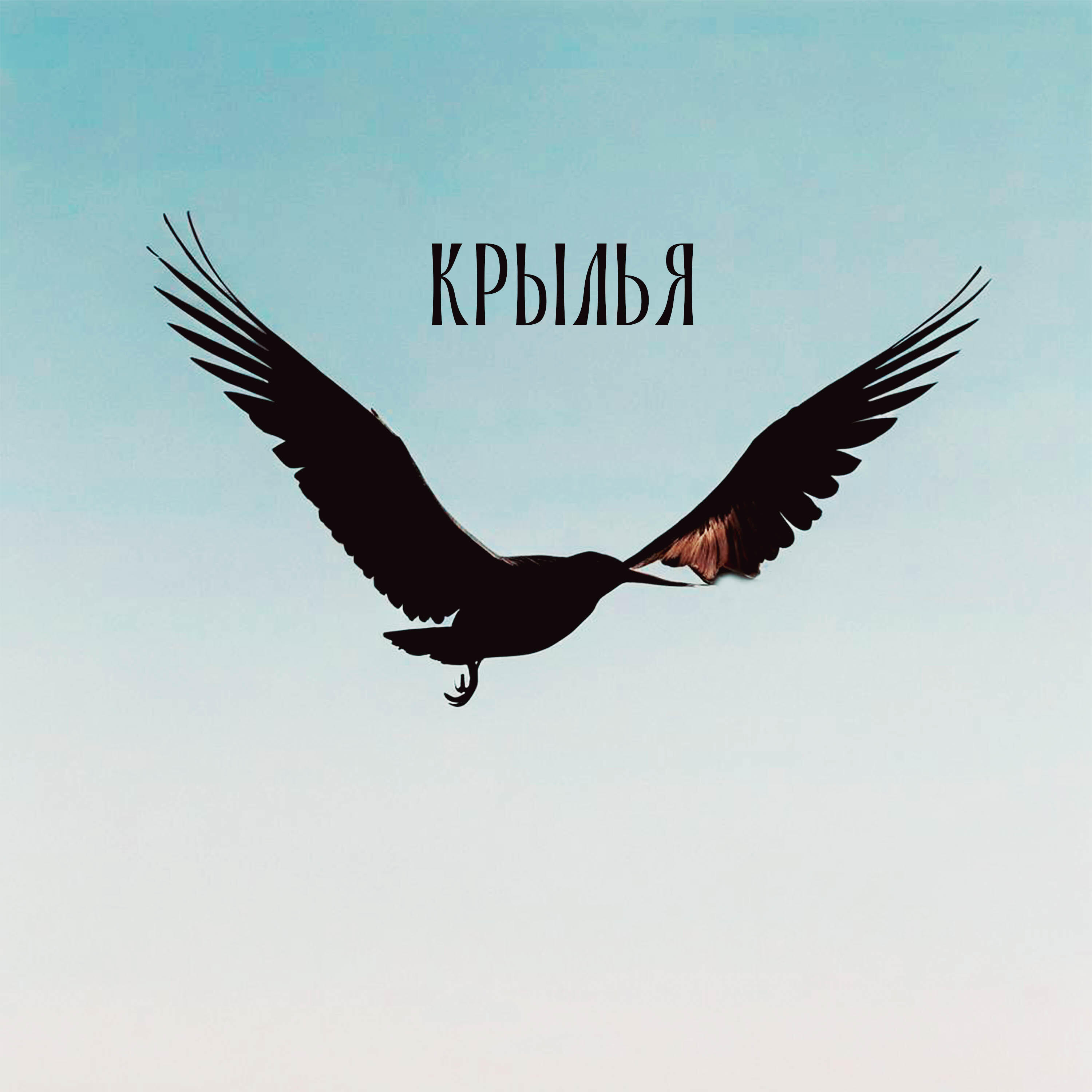Релиз Крылья