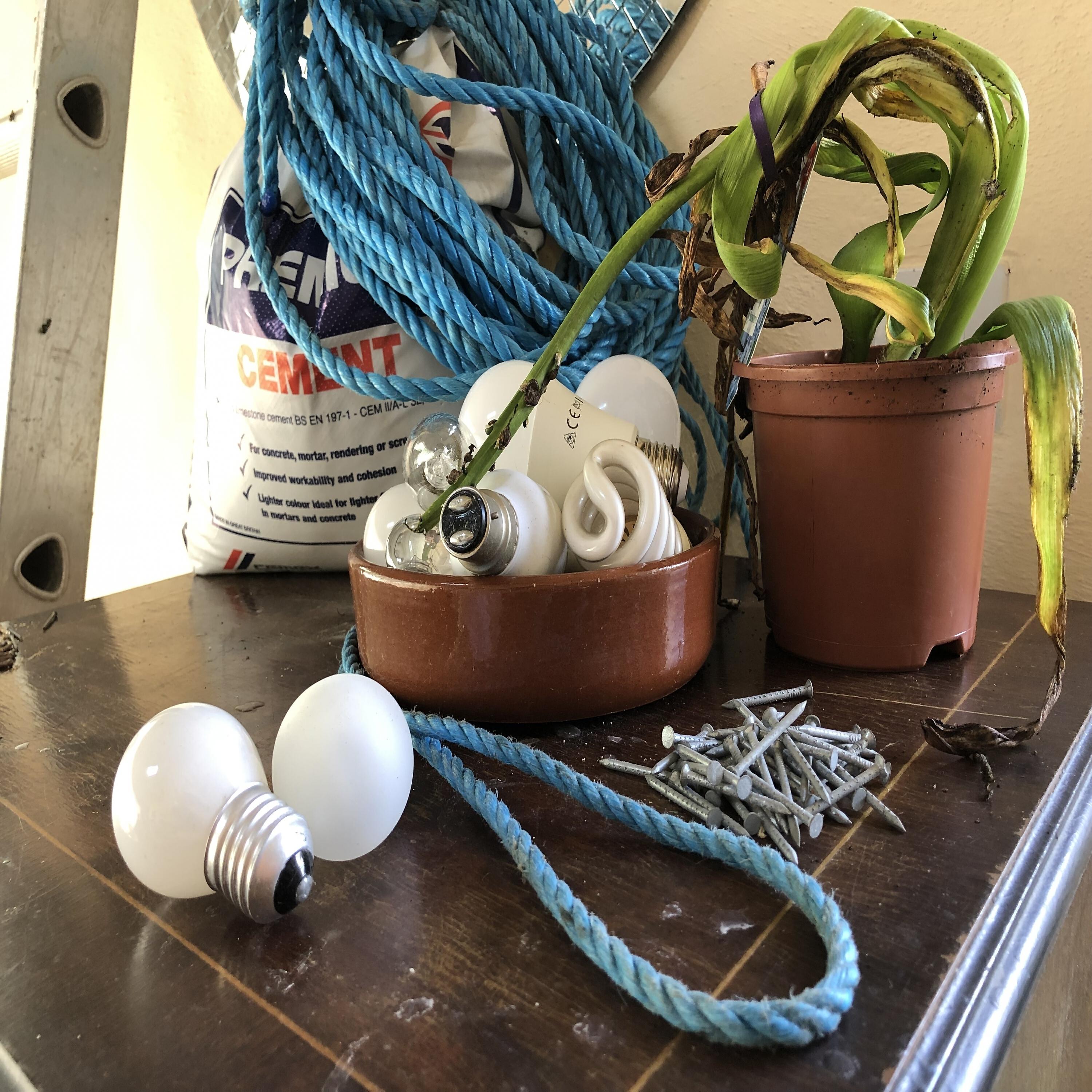 Релиз Still Life