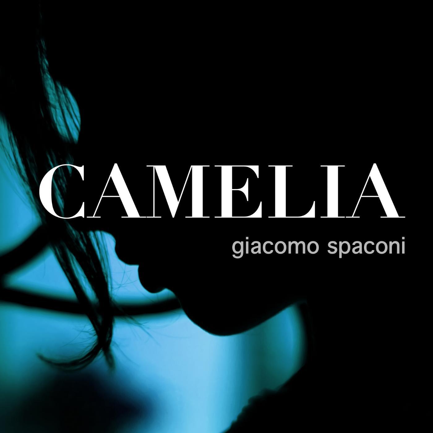 Релиз Camelia