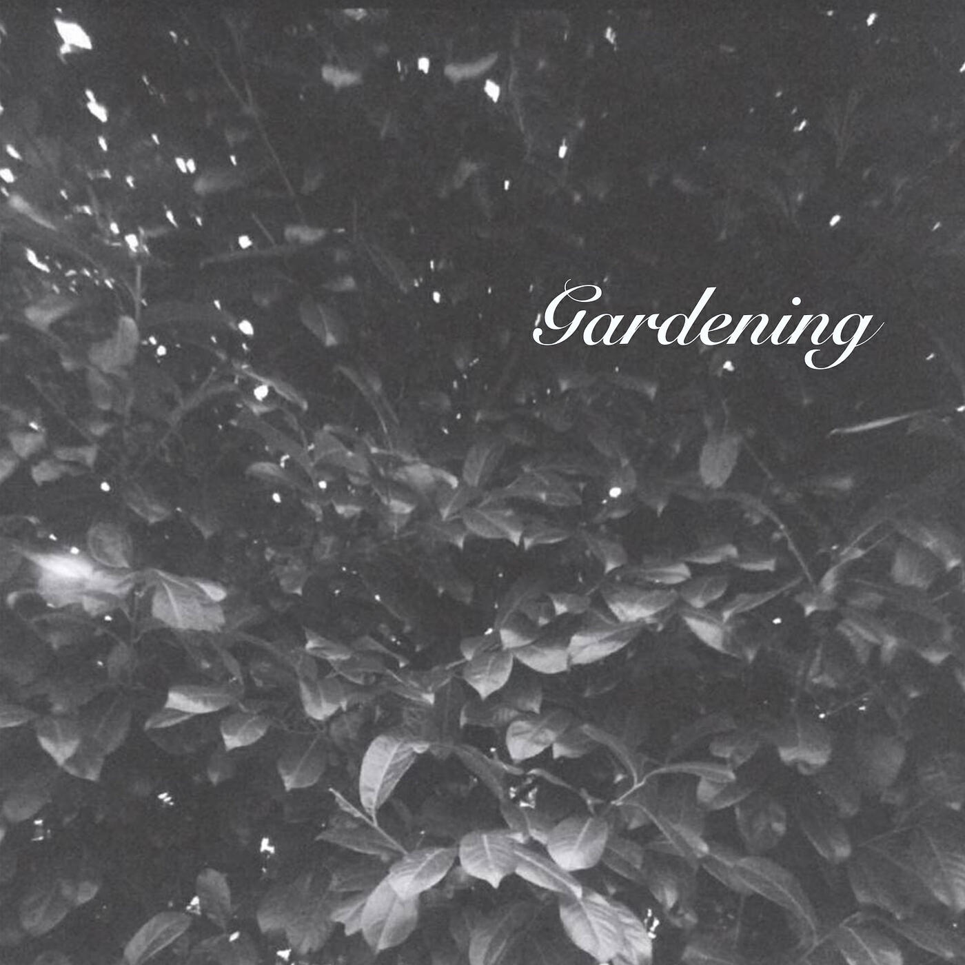 Релиз Gardening