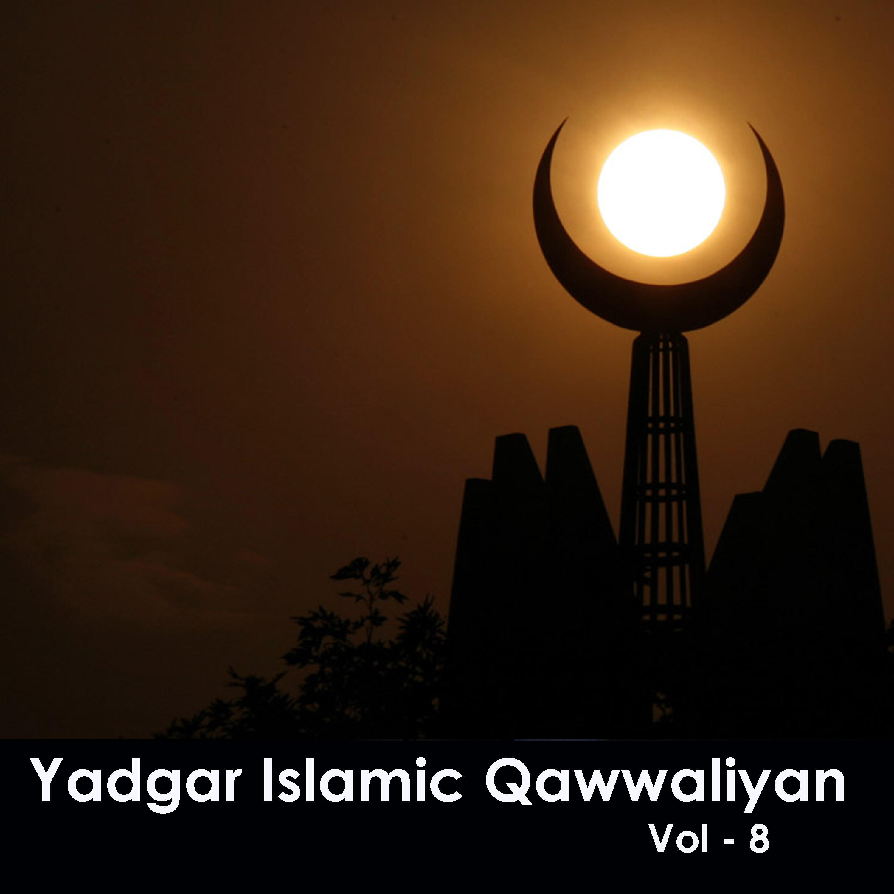 Постер альбома Yaadgar Islamic Qawwaliyan, Vol. 8