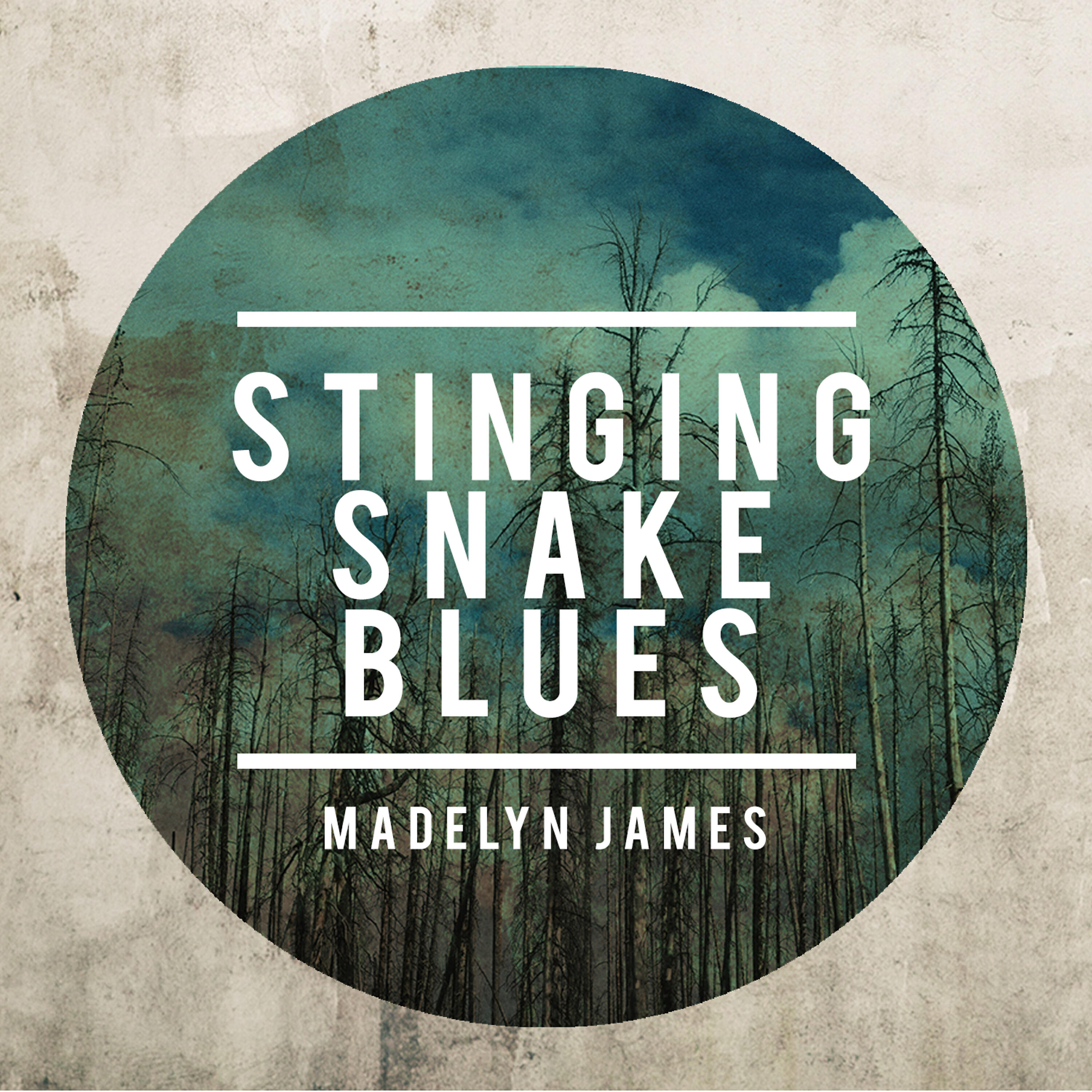Релиз Stinging Snake Blues