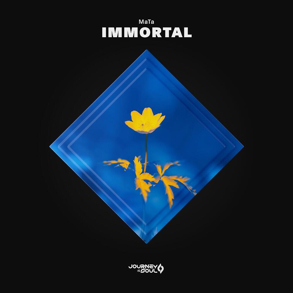 Релиз Immortal