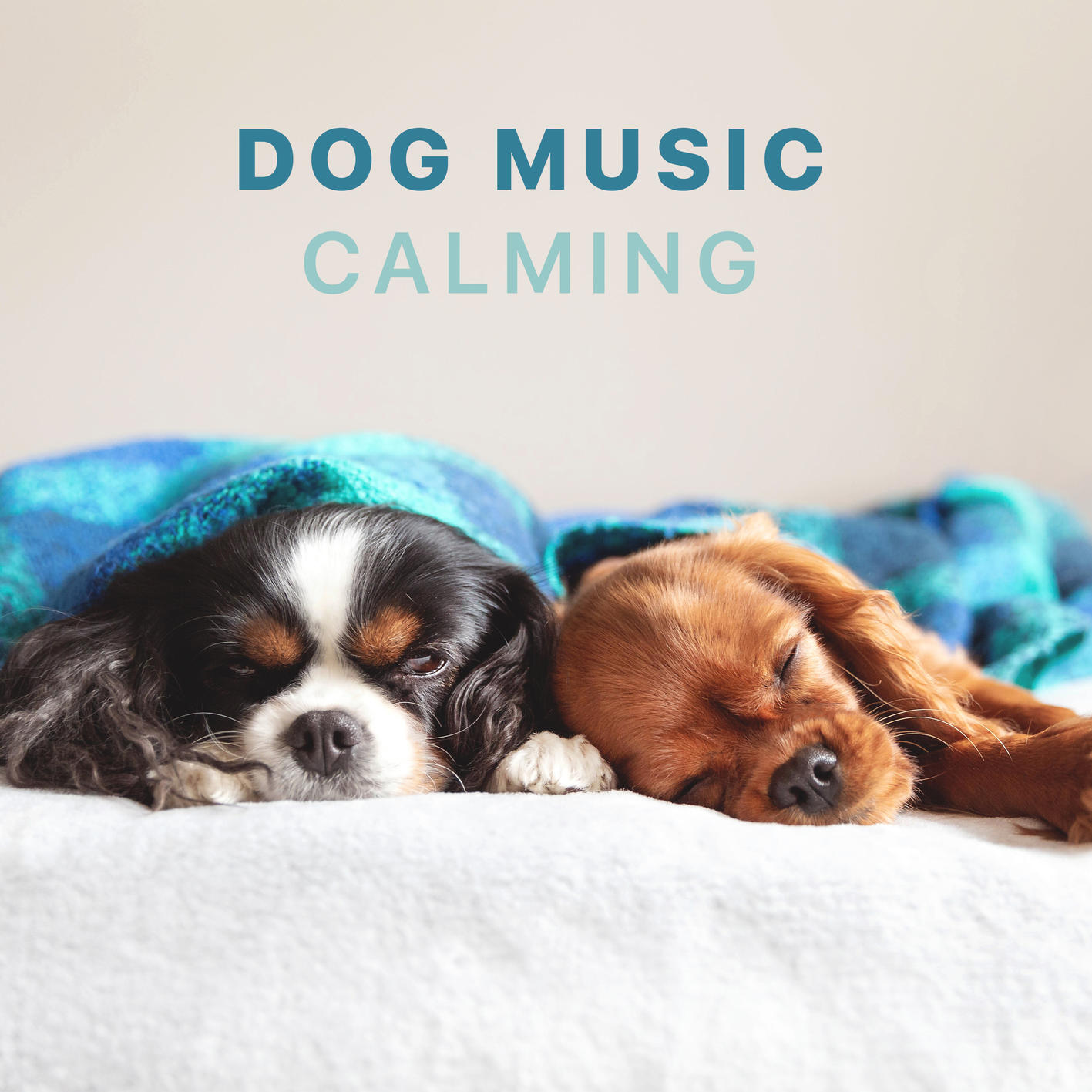 Релиз Dog Music - Calming Songs for Dogs and Puppies