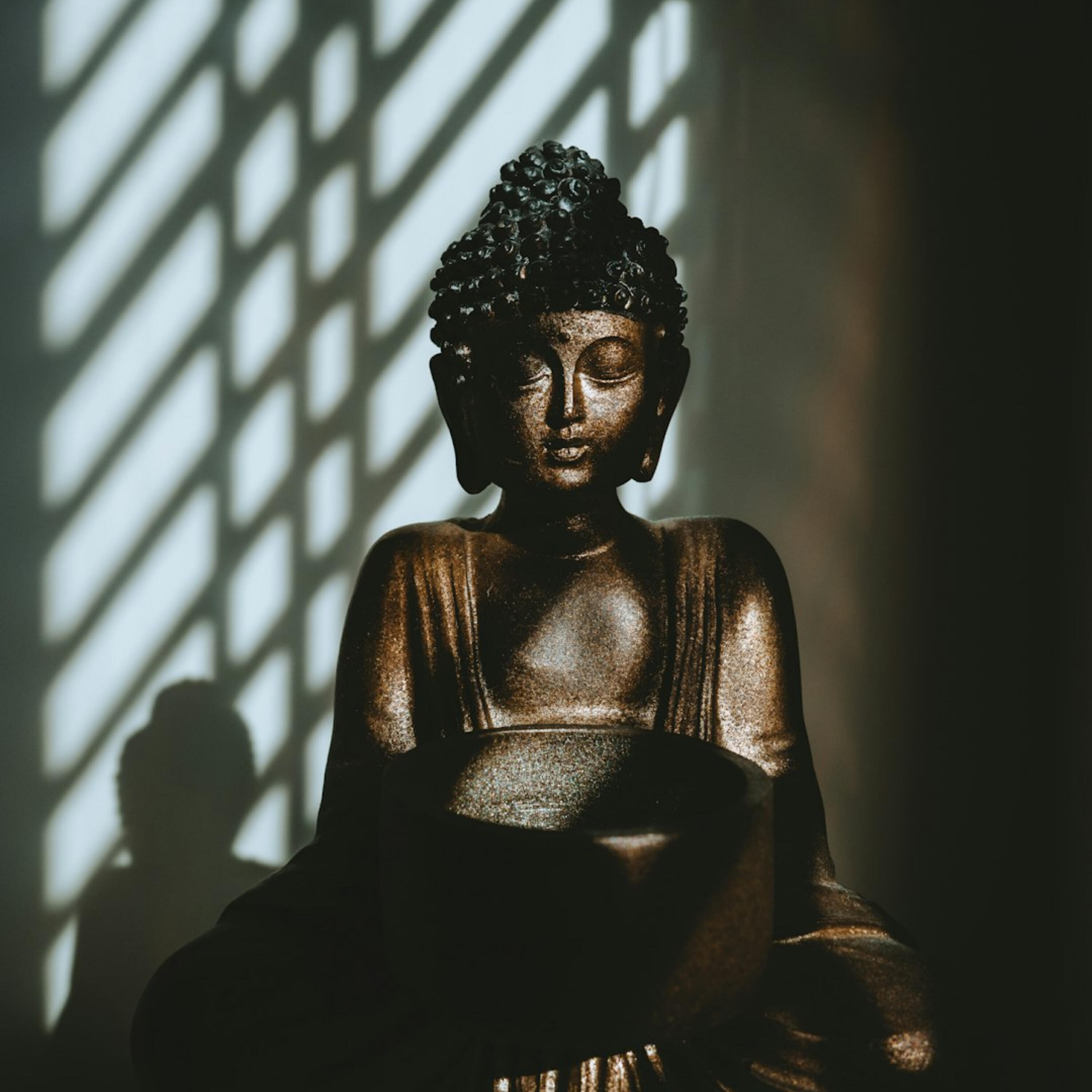 Релиз Meditation