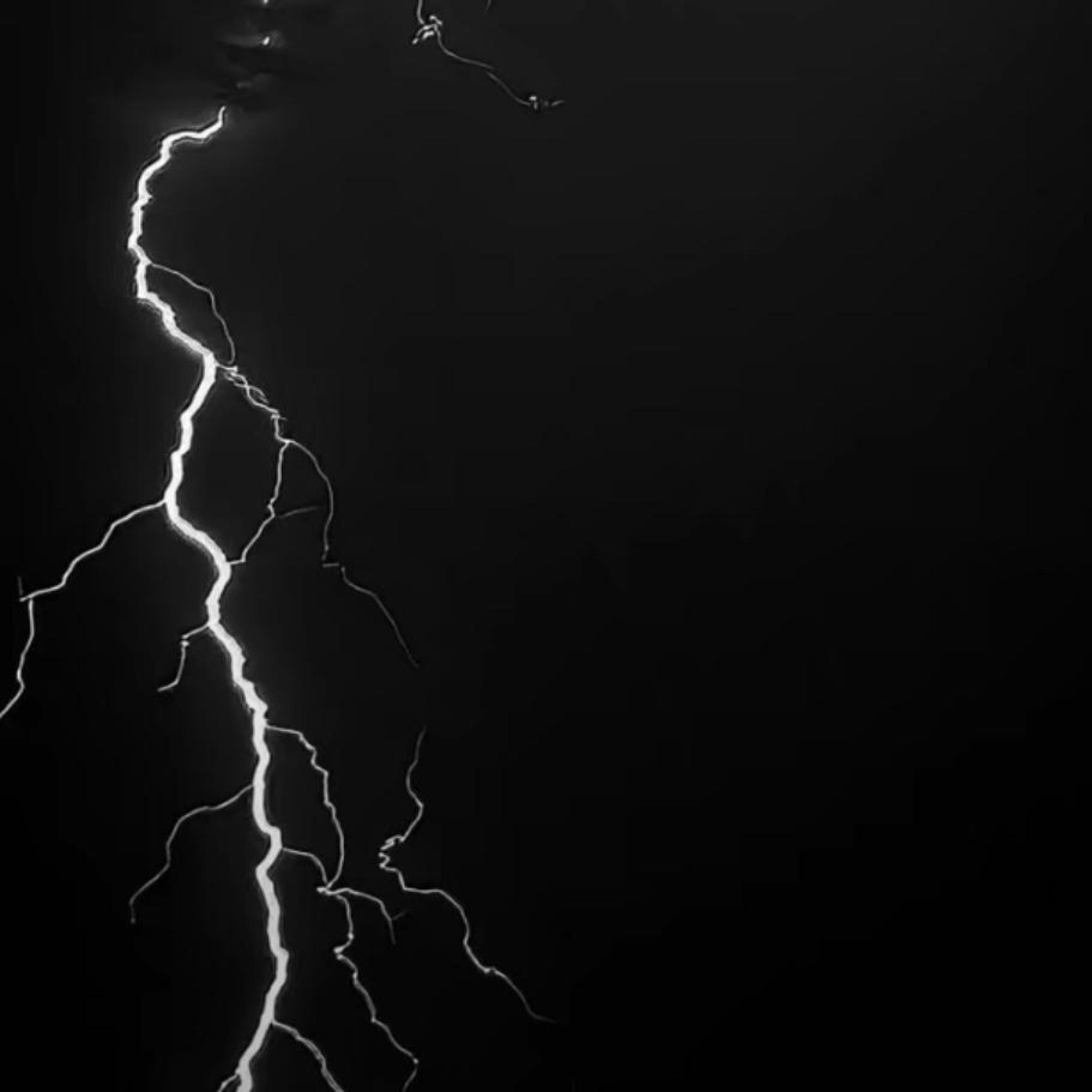 Трек 生活热爱共存