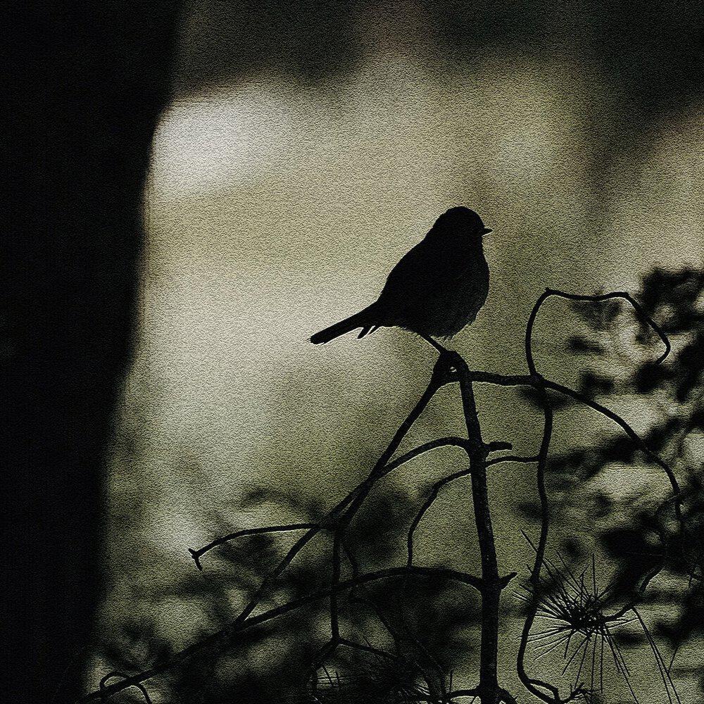 Релиз Watching Out