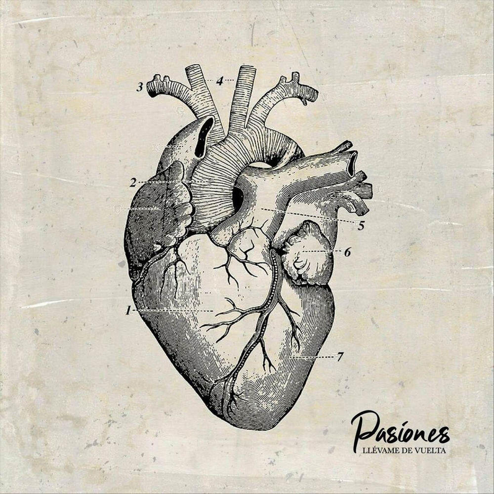 Релиз Pasiones