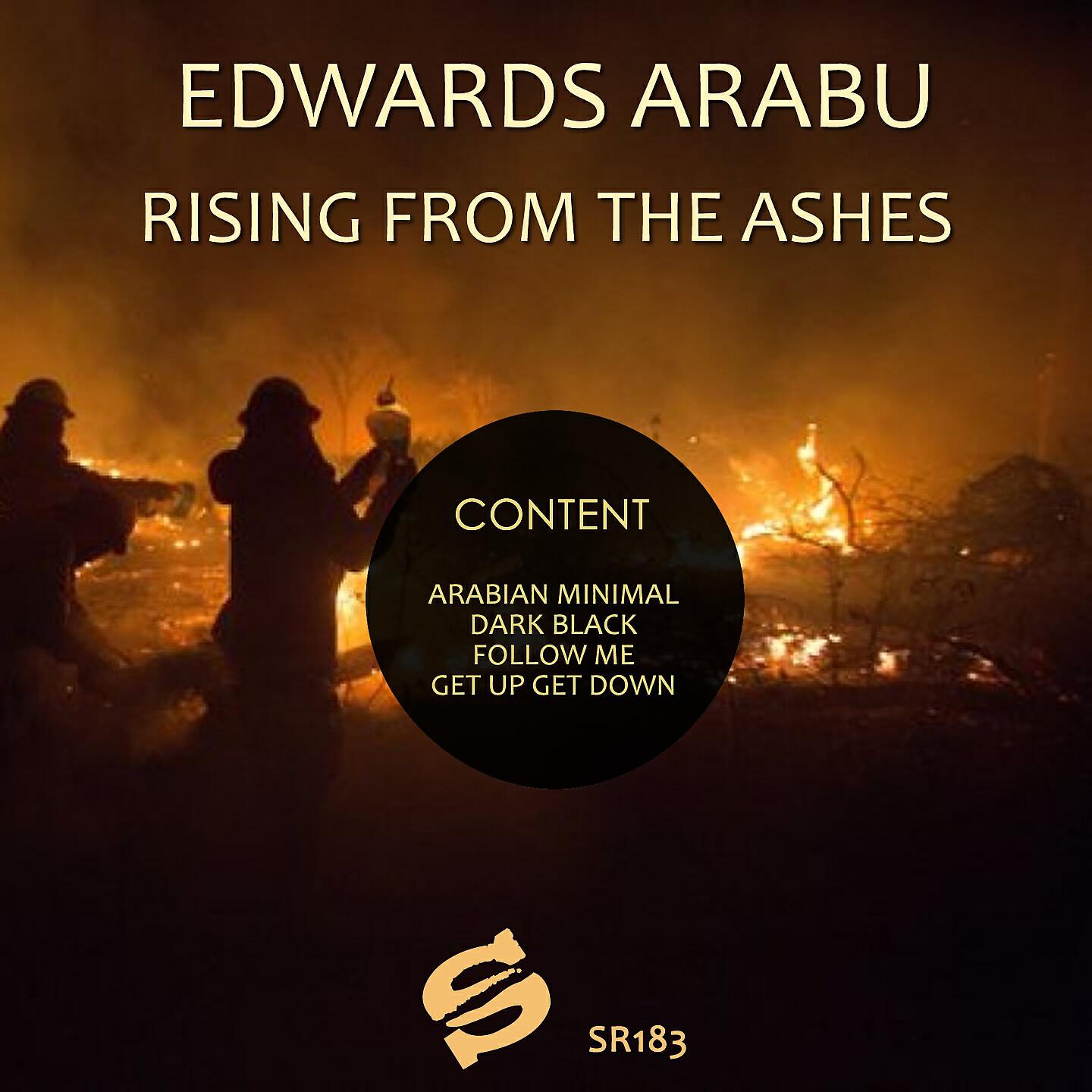 Релиз Rising from the Ashes