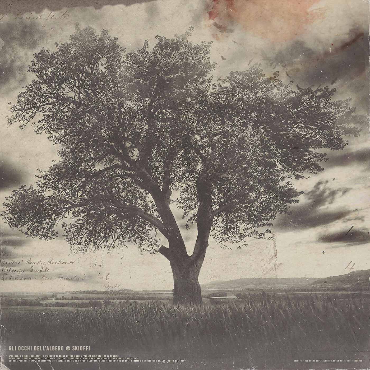 Релиз Gli occhi dell'albero