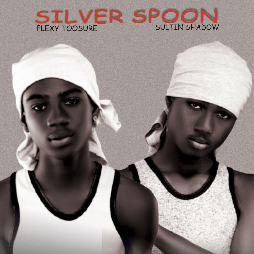 Релиз Silver Spoon