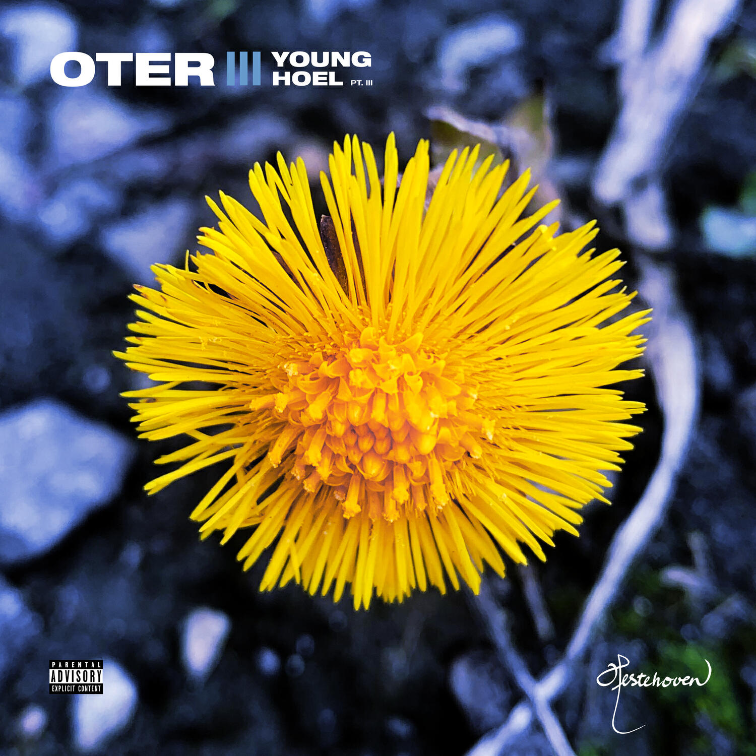 Релиз YOUNG HOEL III: HESTEHOVEN