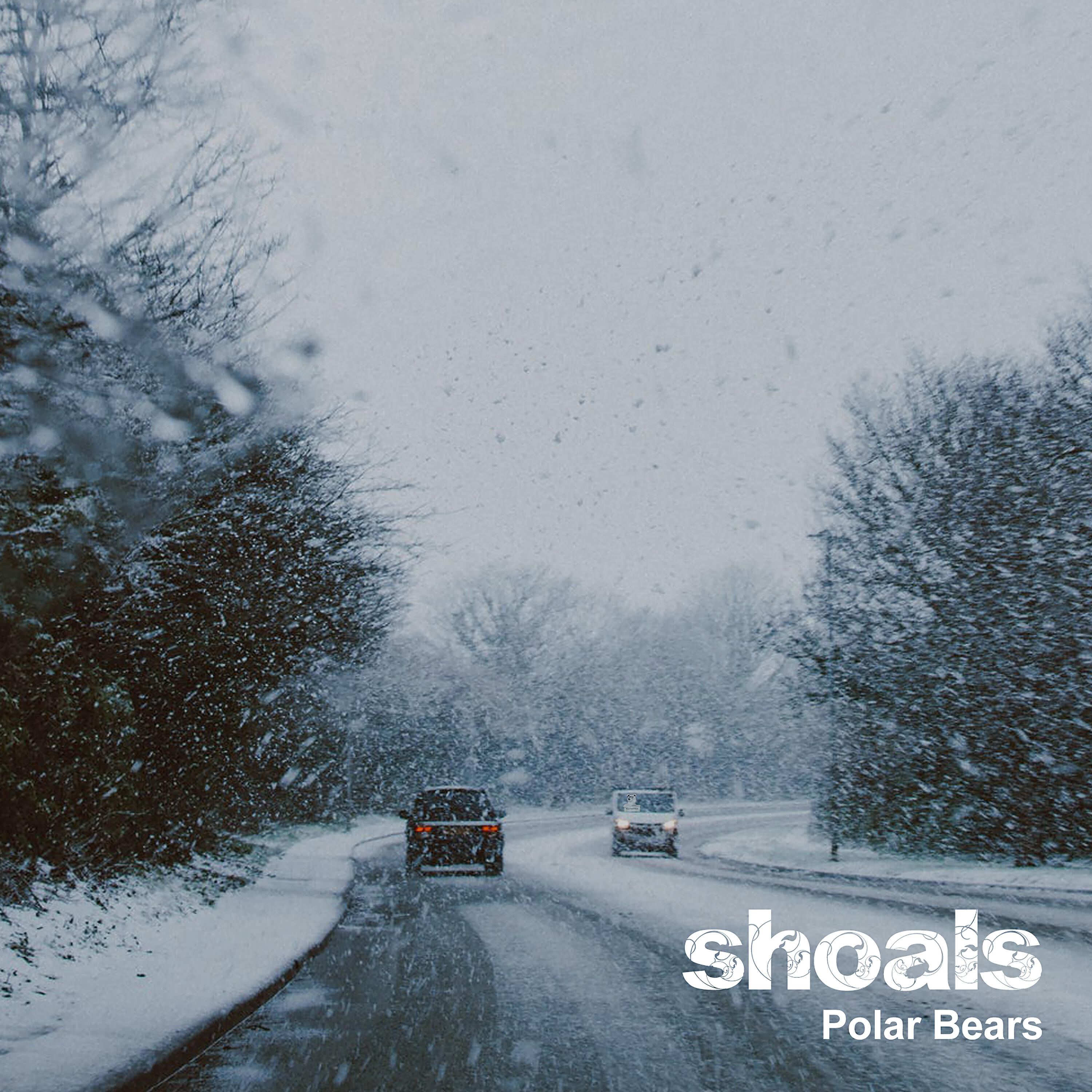 Релиз Polar Bears