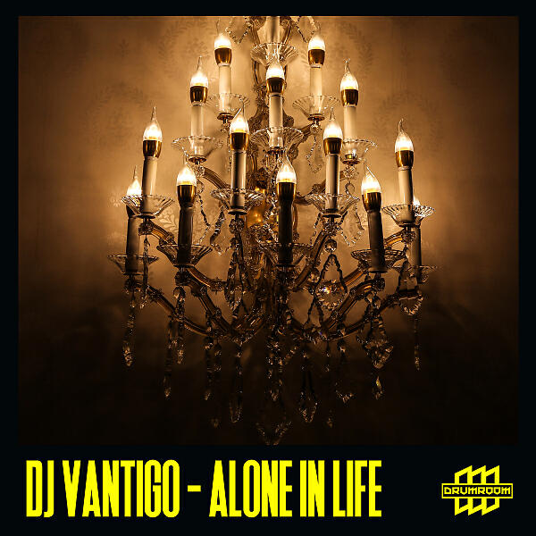 Постер альбома Alone in Life