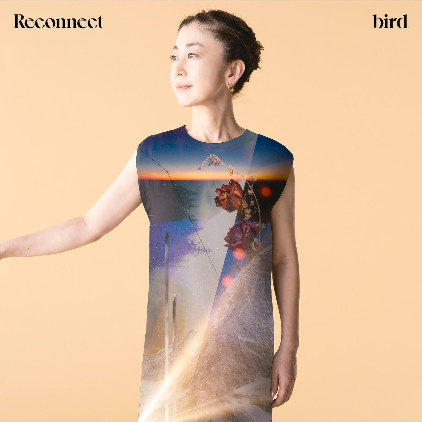 Релиз Reconnect