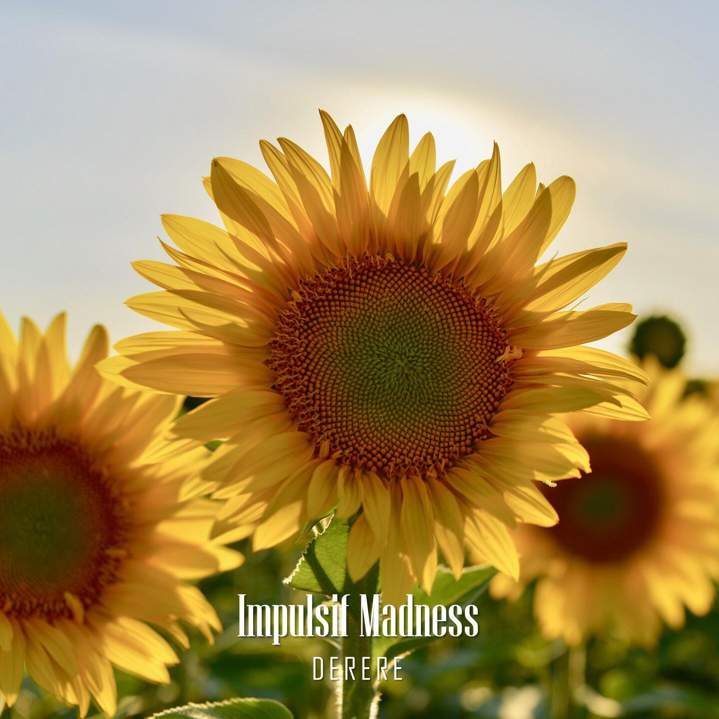 Релиз Impulsif Madness