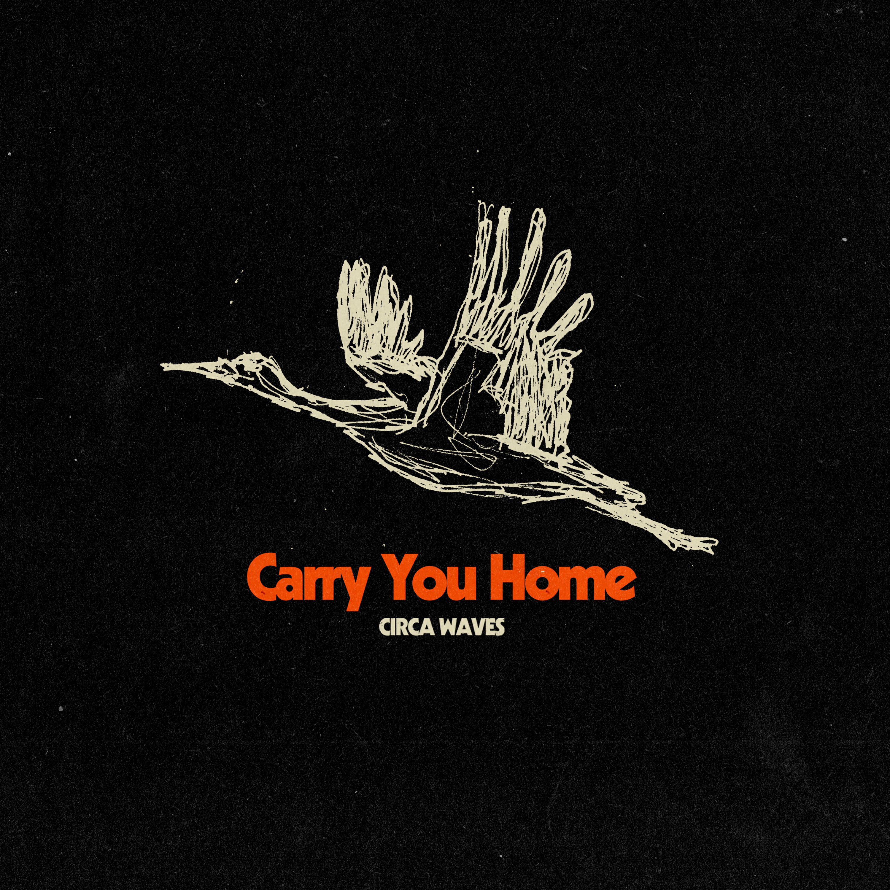 Релиз Carry You Home