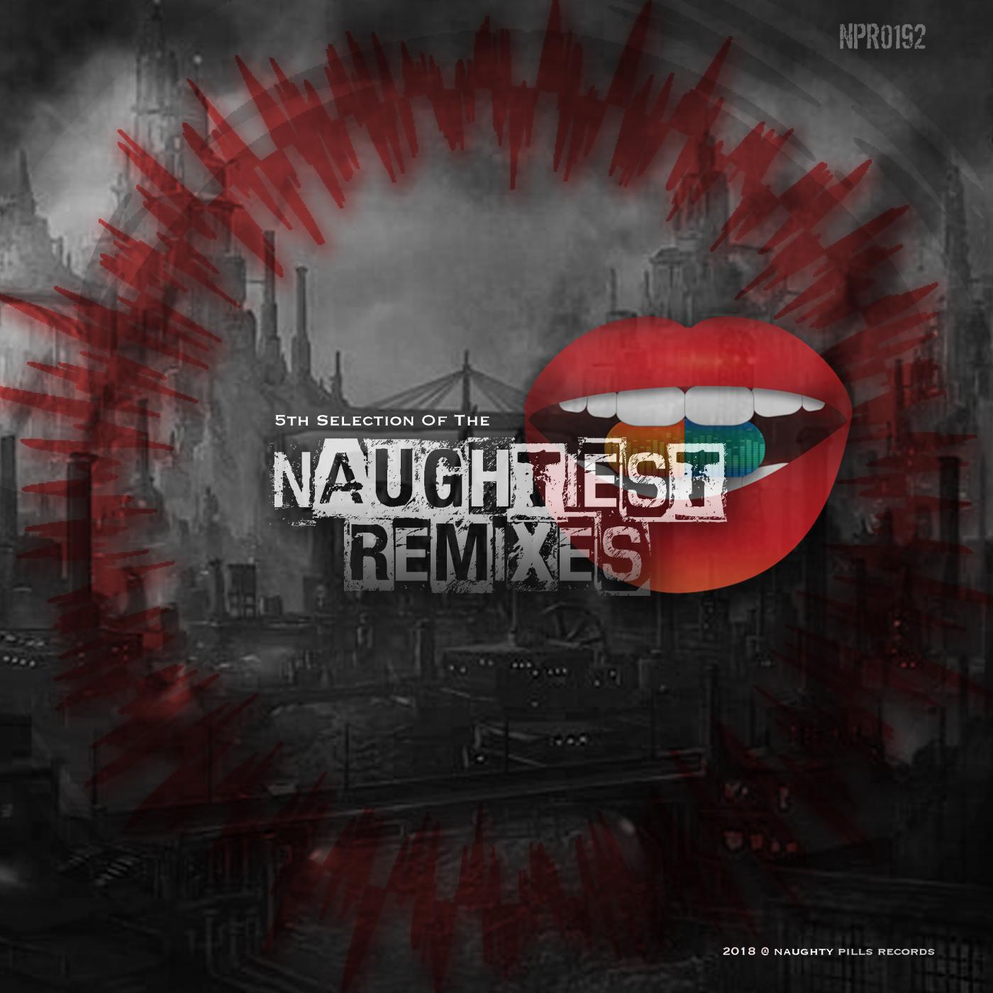 Релиз 5th Selection Of The Naughtiest Remixes