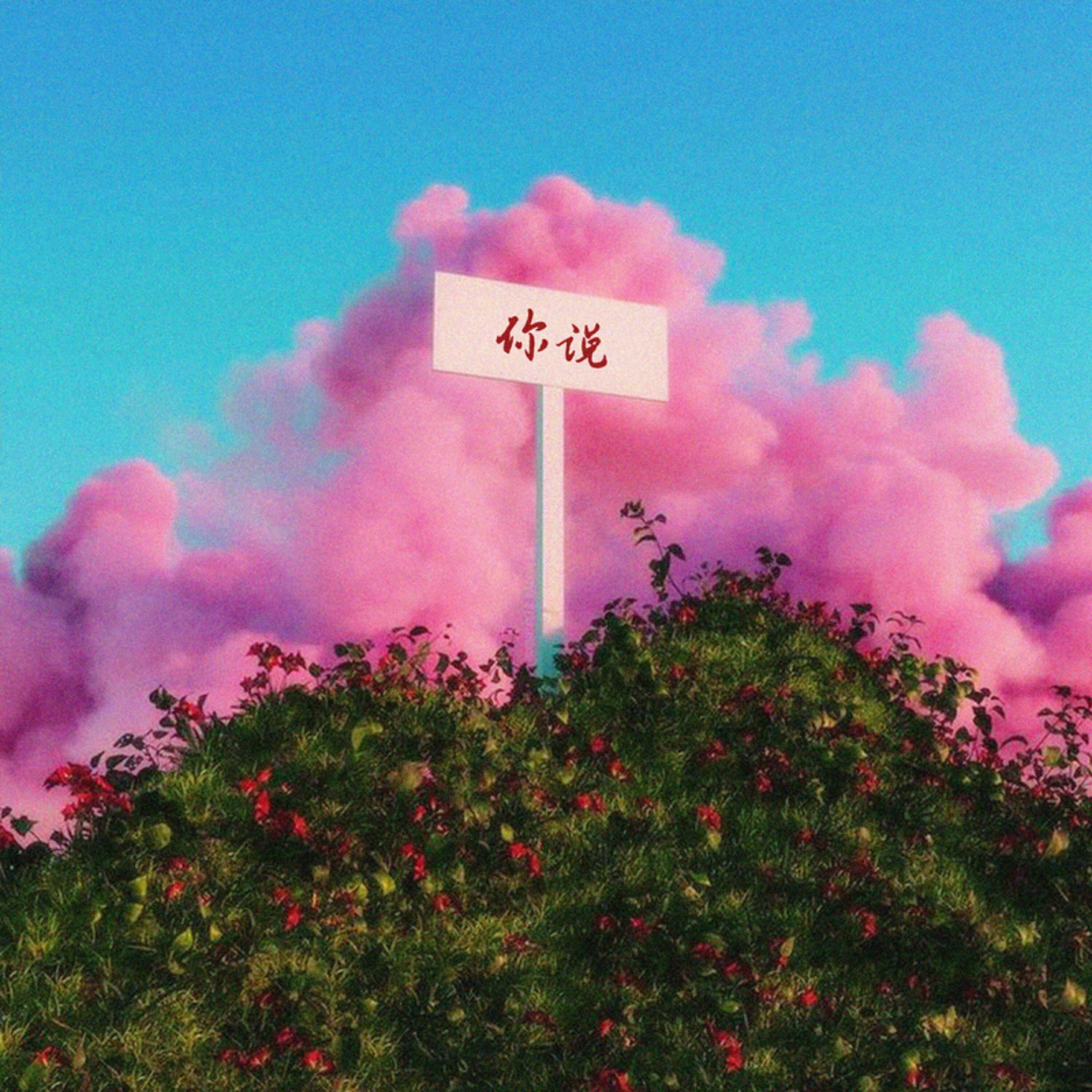 Релиз 你说