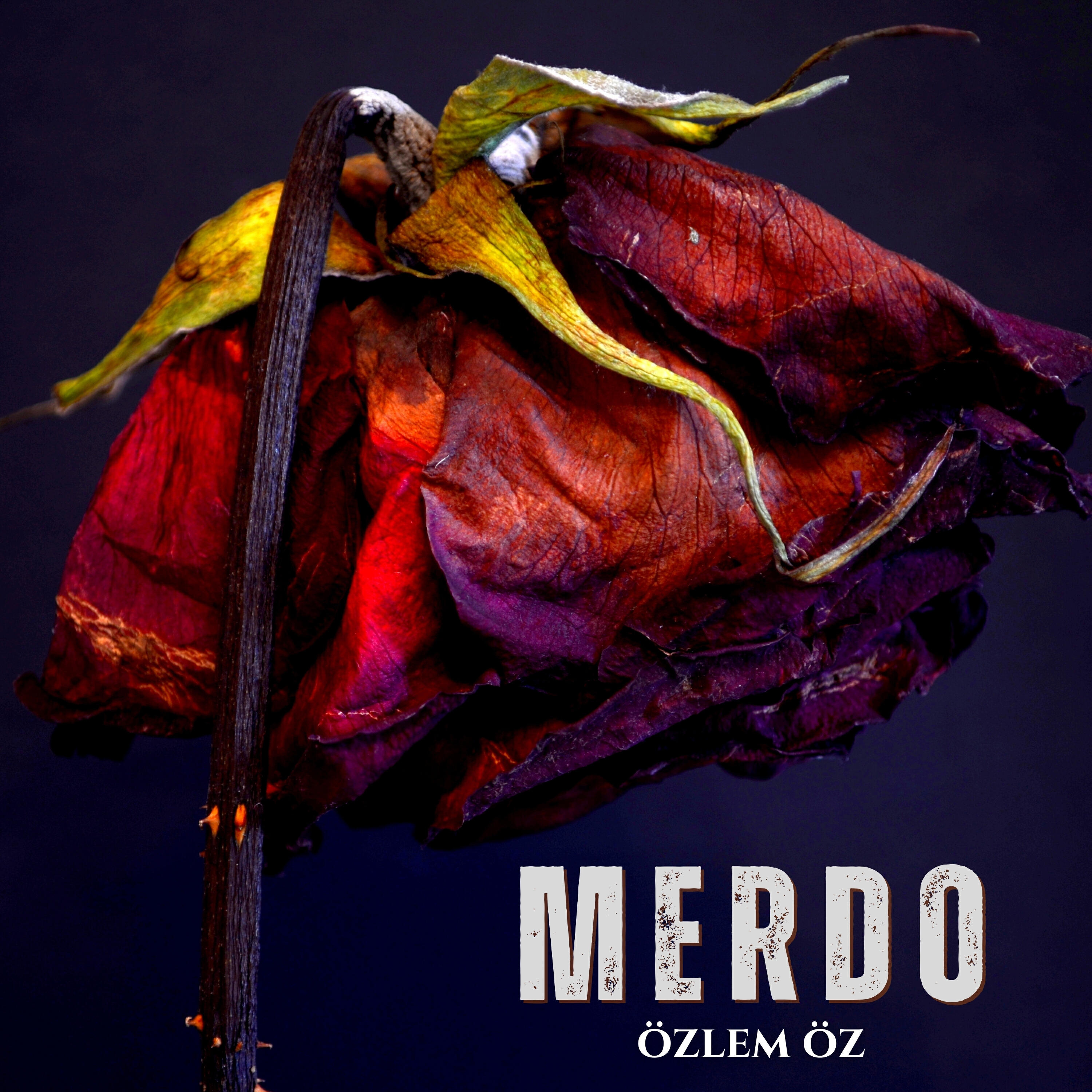 Релиз Merdo