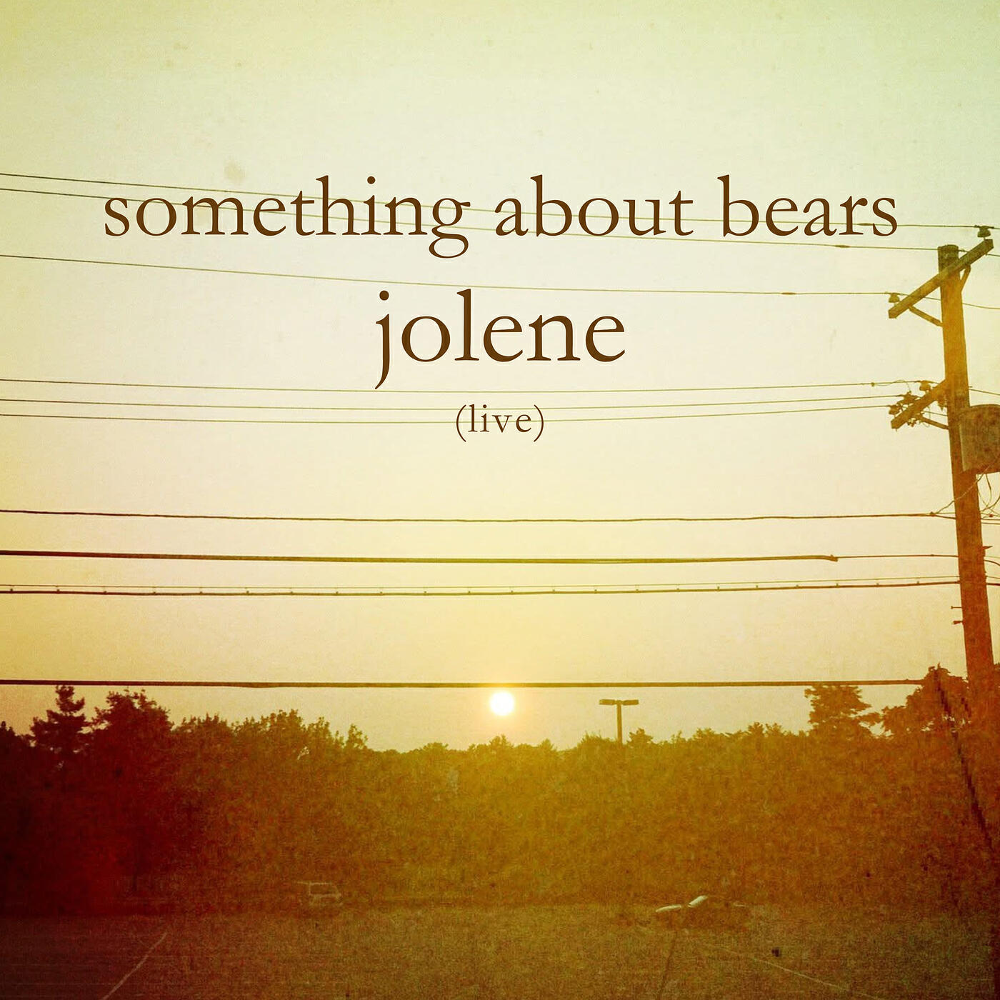 Something About Bears