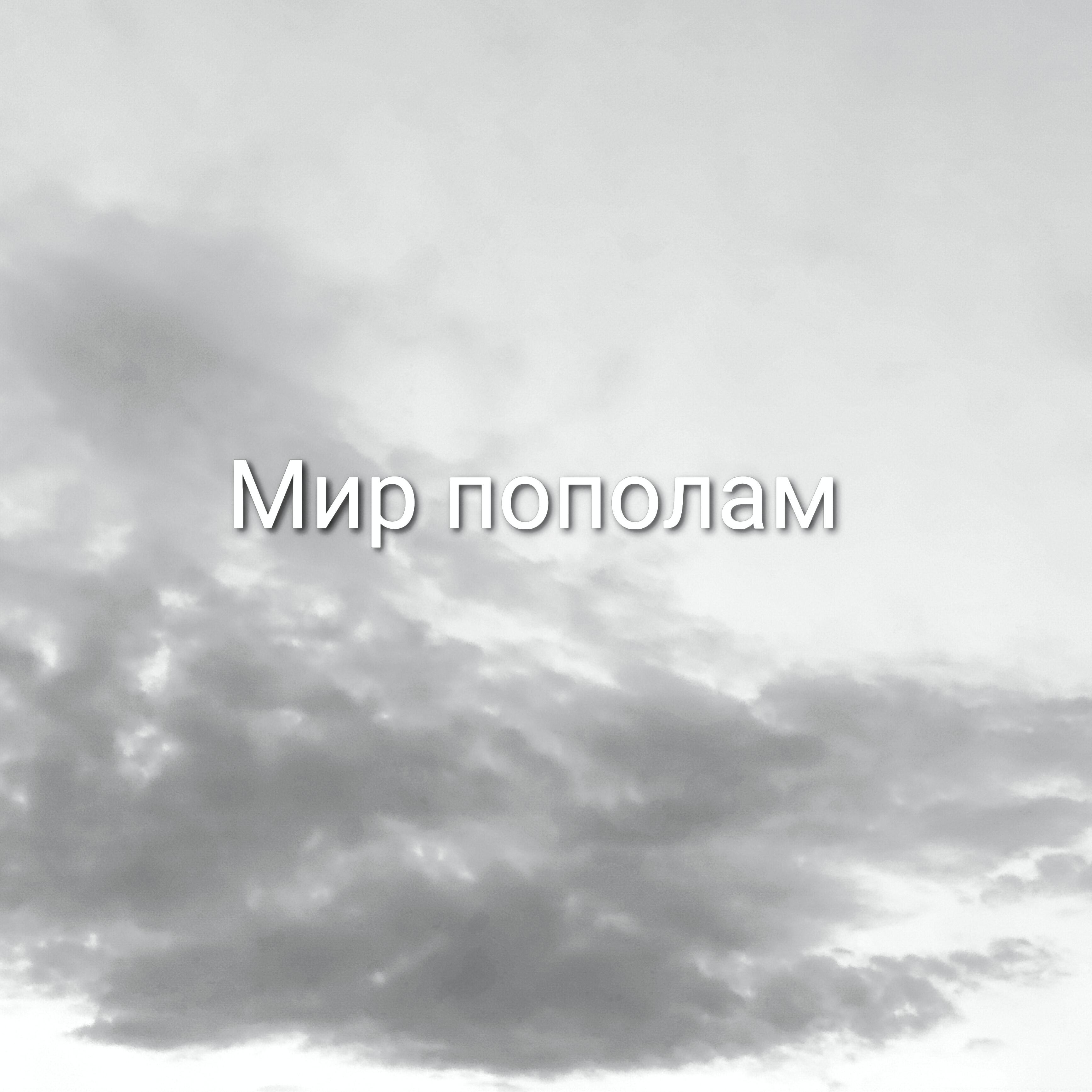 Релиз Мир пополам