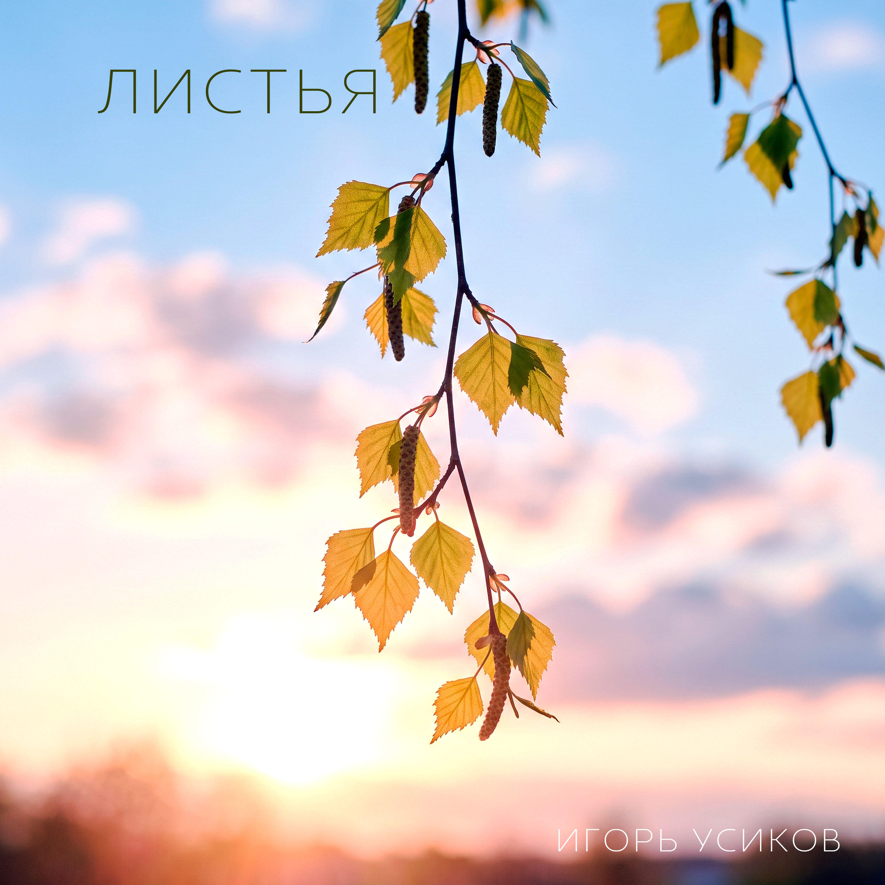 Релиз Листья