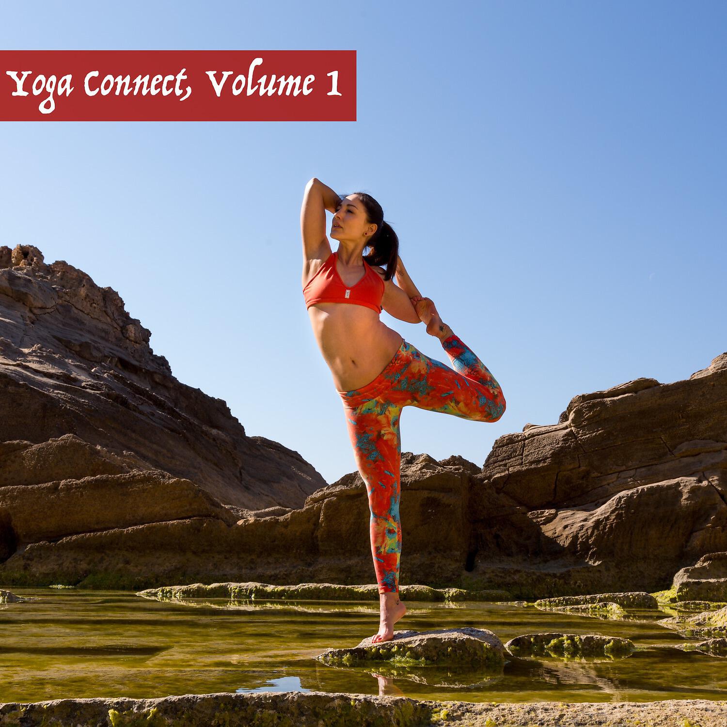 Релиз Yoga Connect, Vol. 1