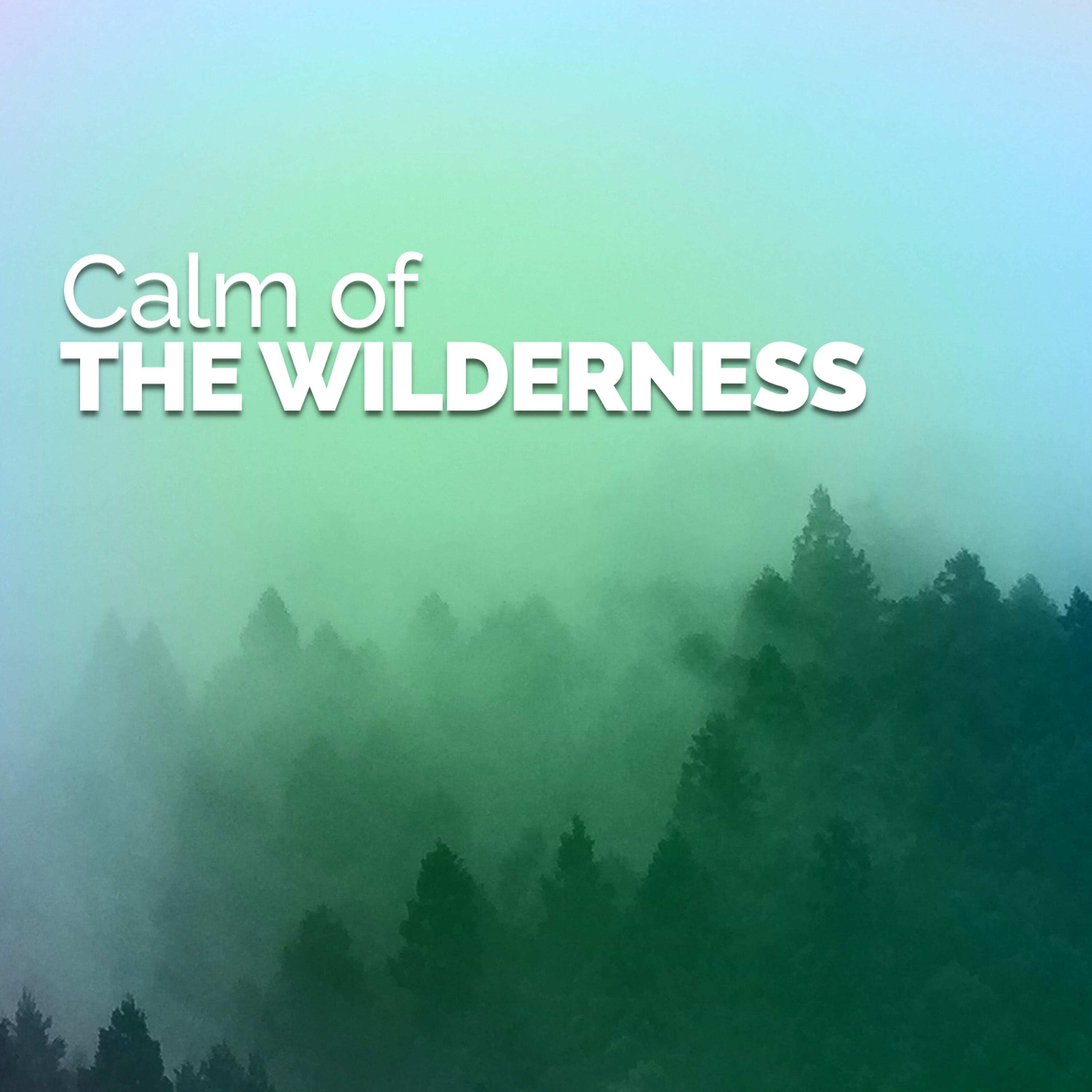 Релиз Calm of the Wilderness
