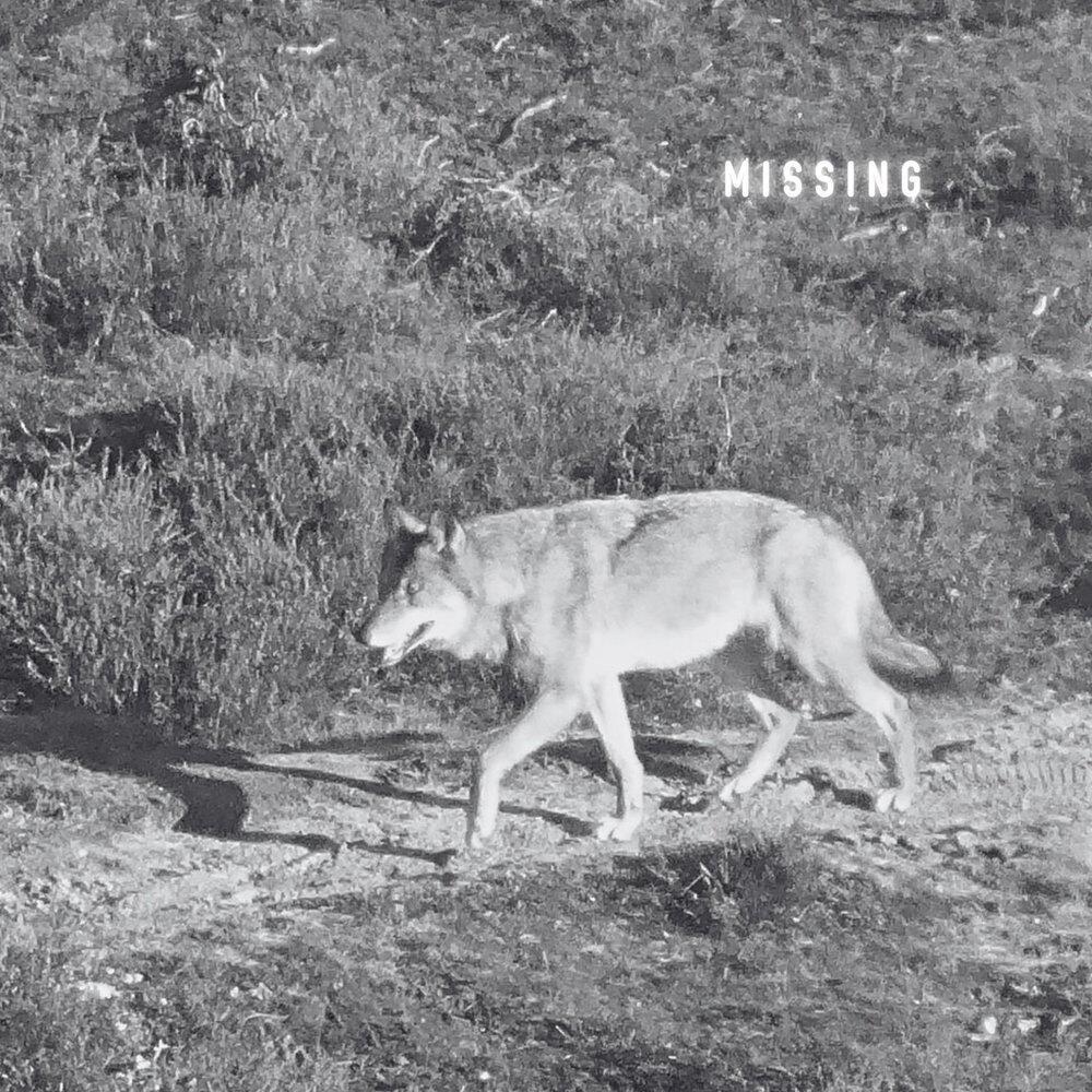Релиз Missing (Phonerecording) [feat. Bernard Pelle]