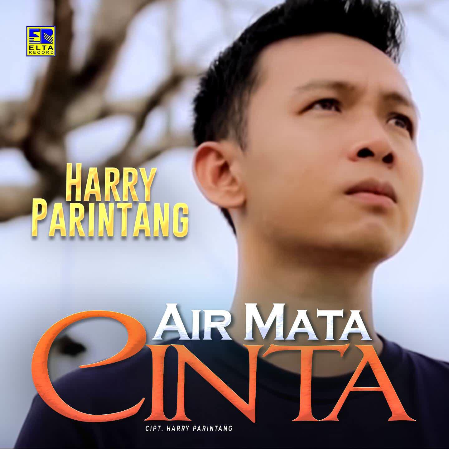 Релиз Air Mata Cinta
