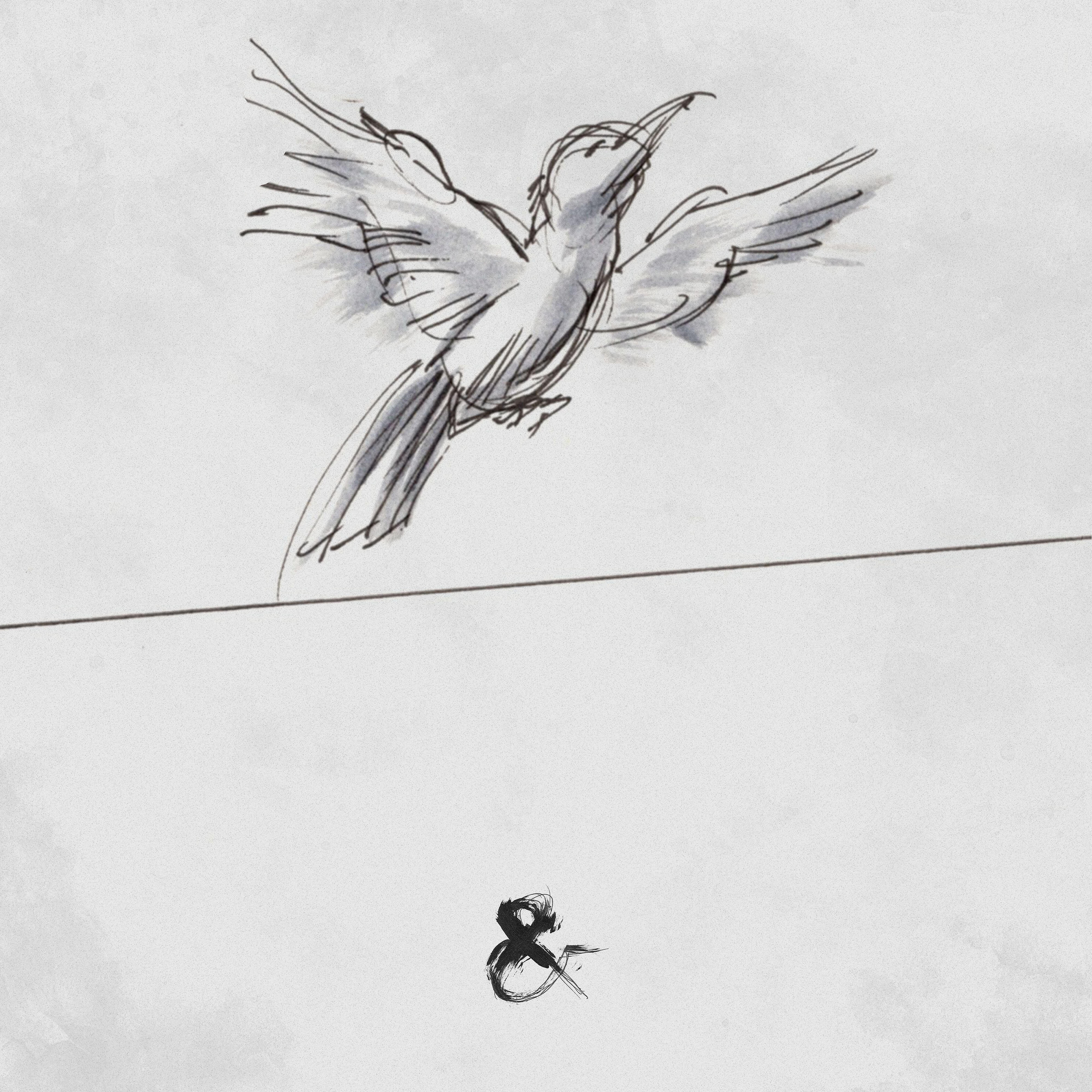 Релиз Timeless