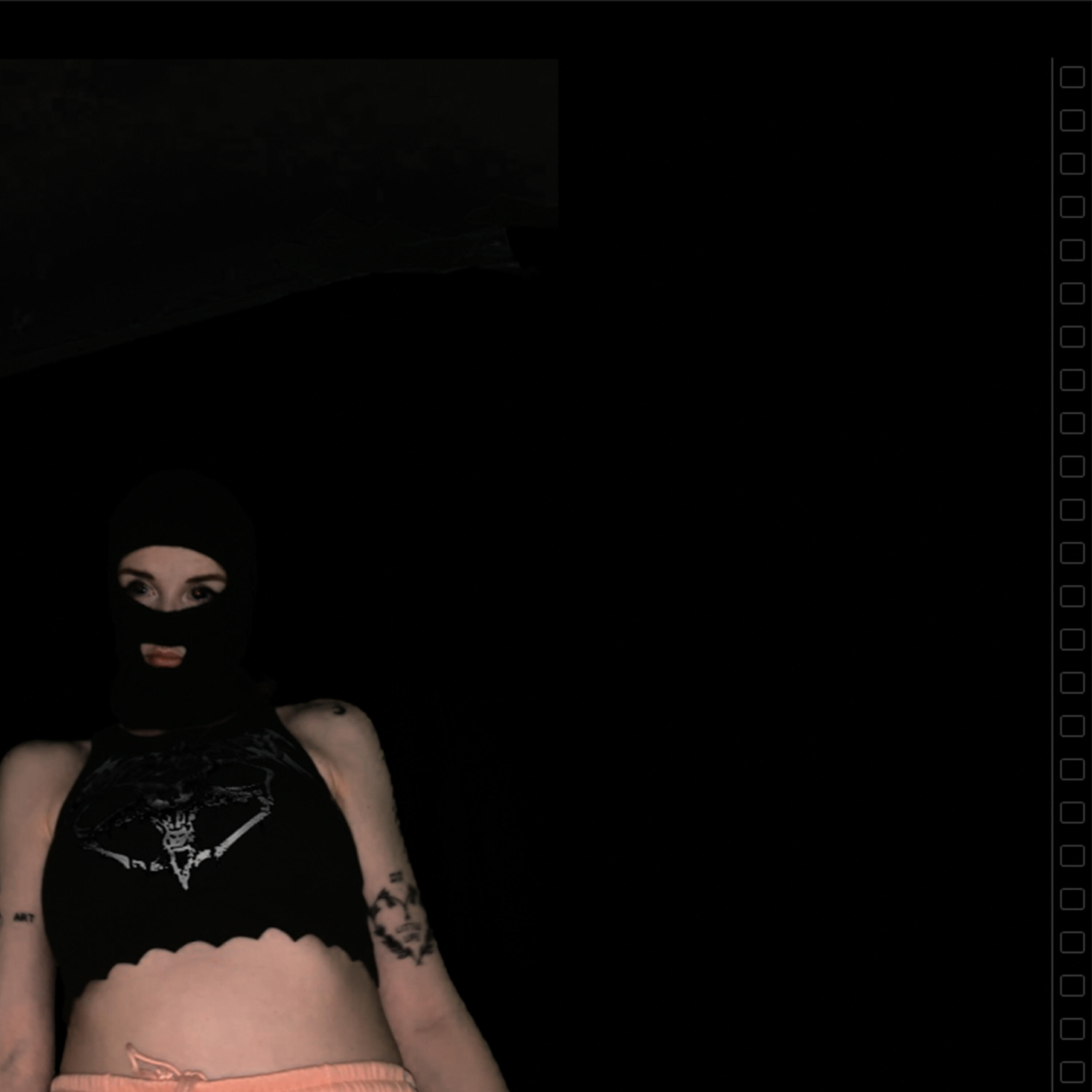 ПЕРНАТЫЕ КРЫСЫ