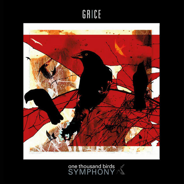 Релиз One Thousand Birds Symphony