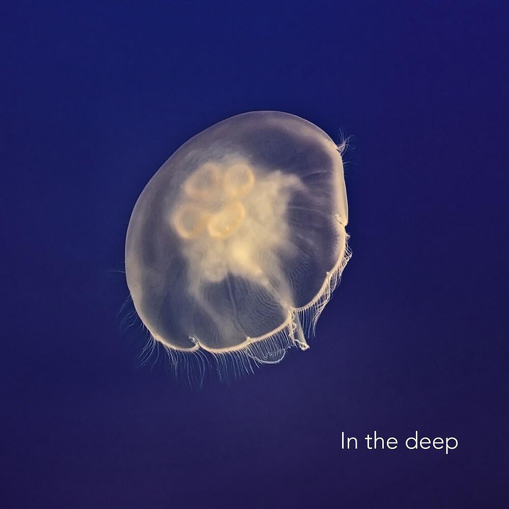 Релиз In the Deep