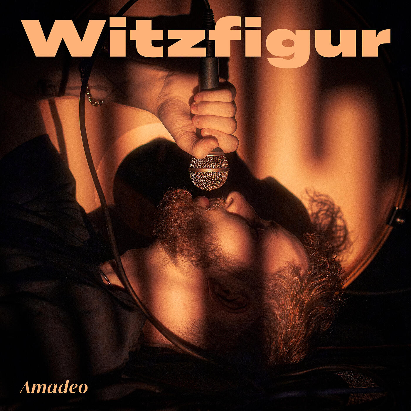 Релиз Witzfigur