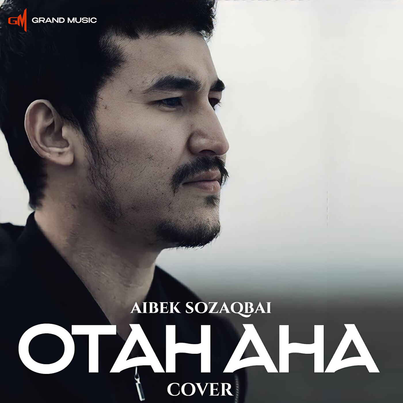Релиз Отан ана (cover)