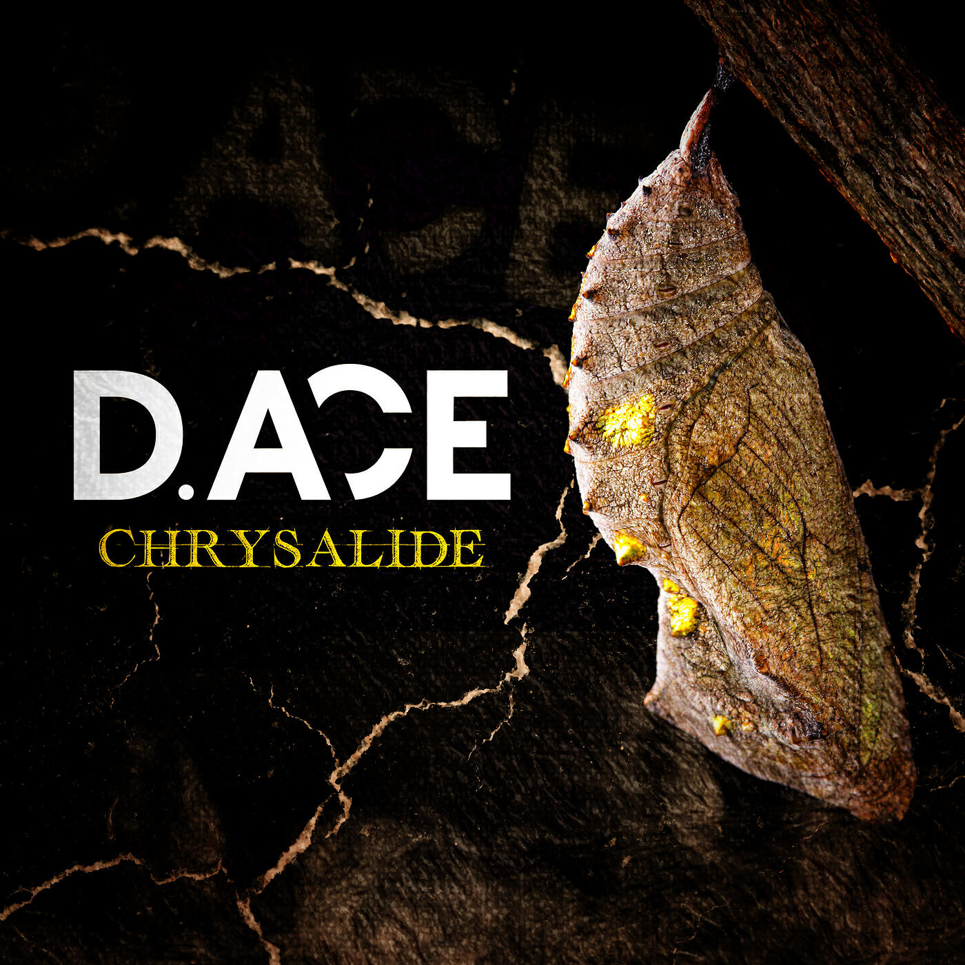 Релиз Chrysalide