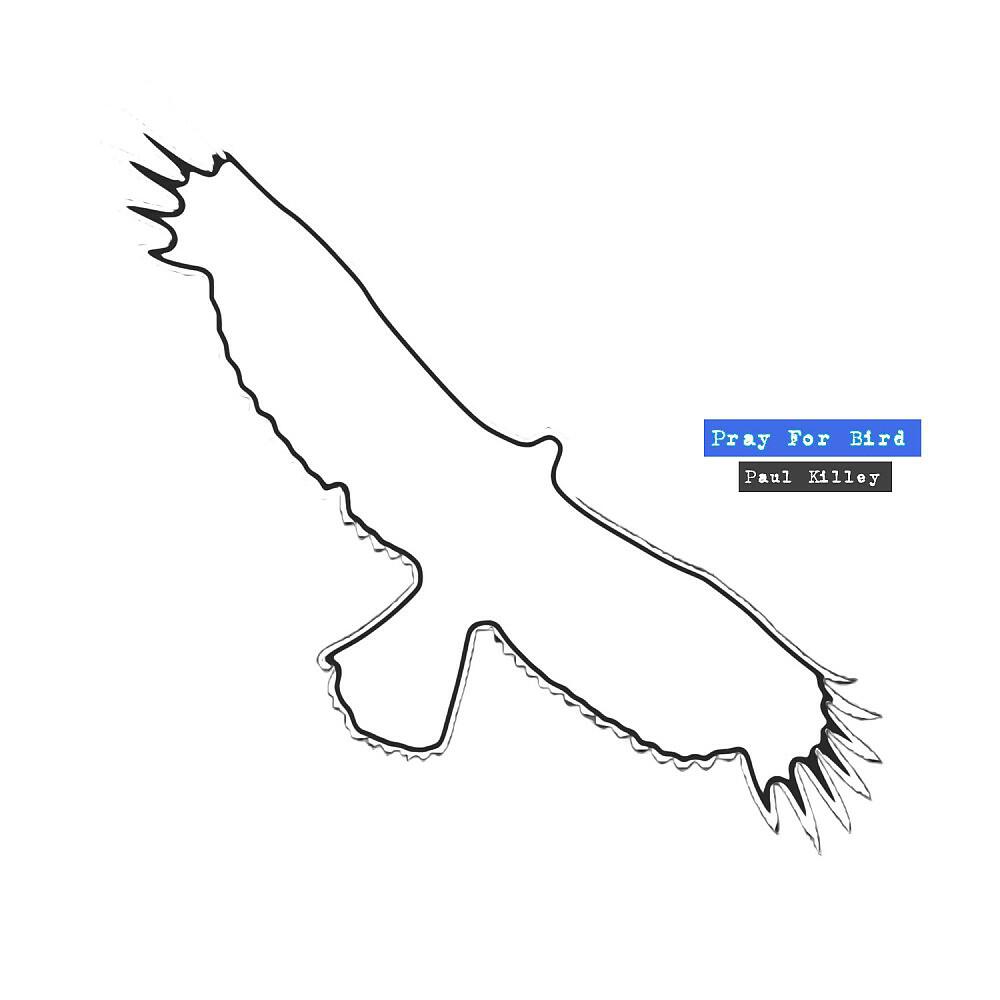 Релиз Pray for Bird