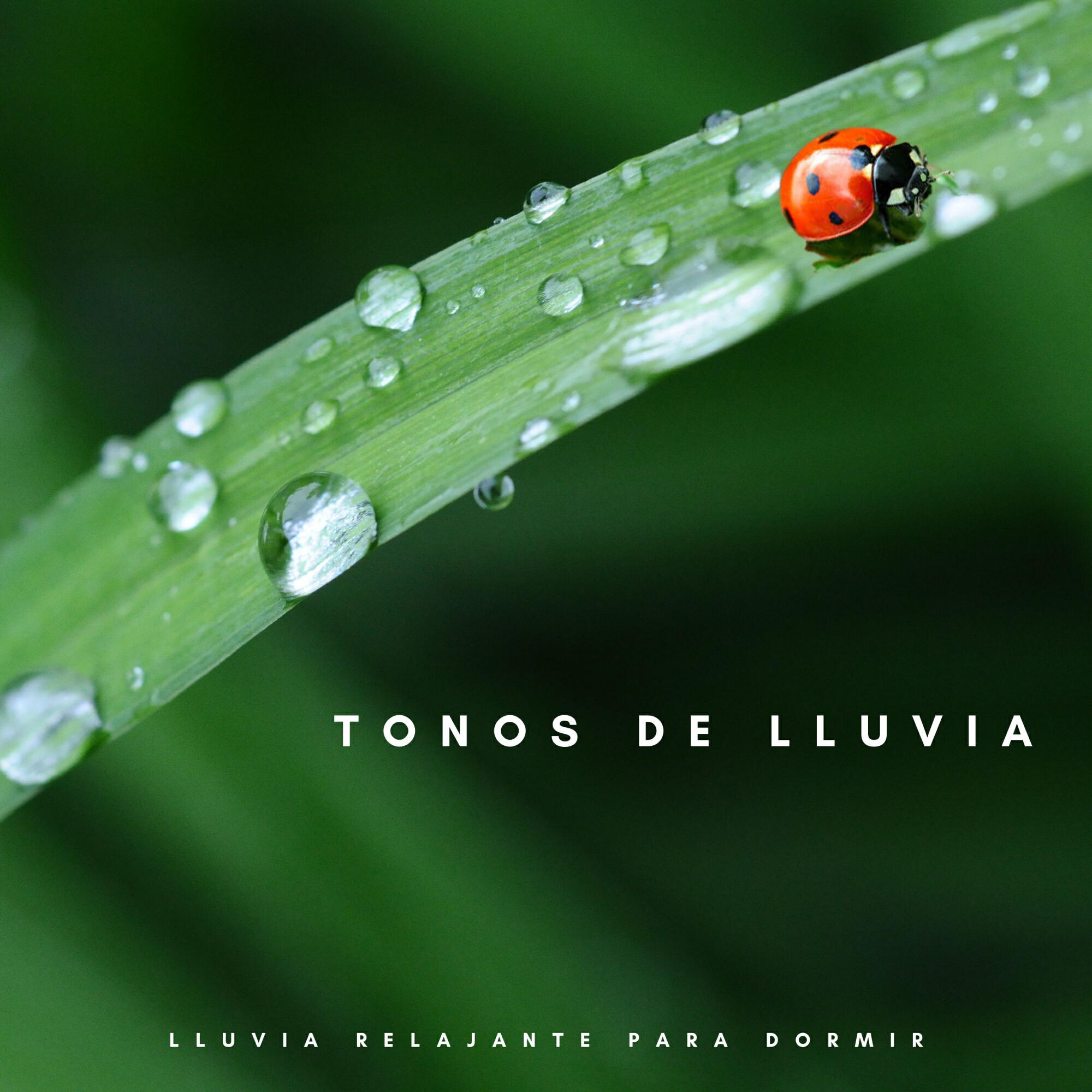 Релиз Tonos De Lluvia: Lluvia Relajante Para Dormir