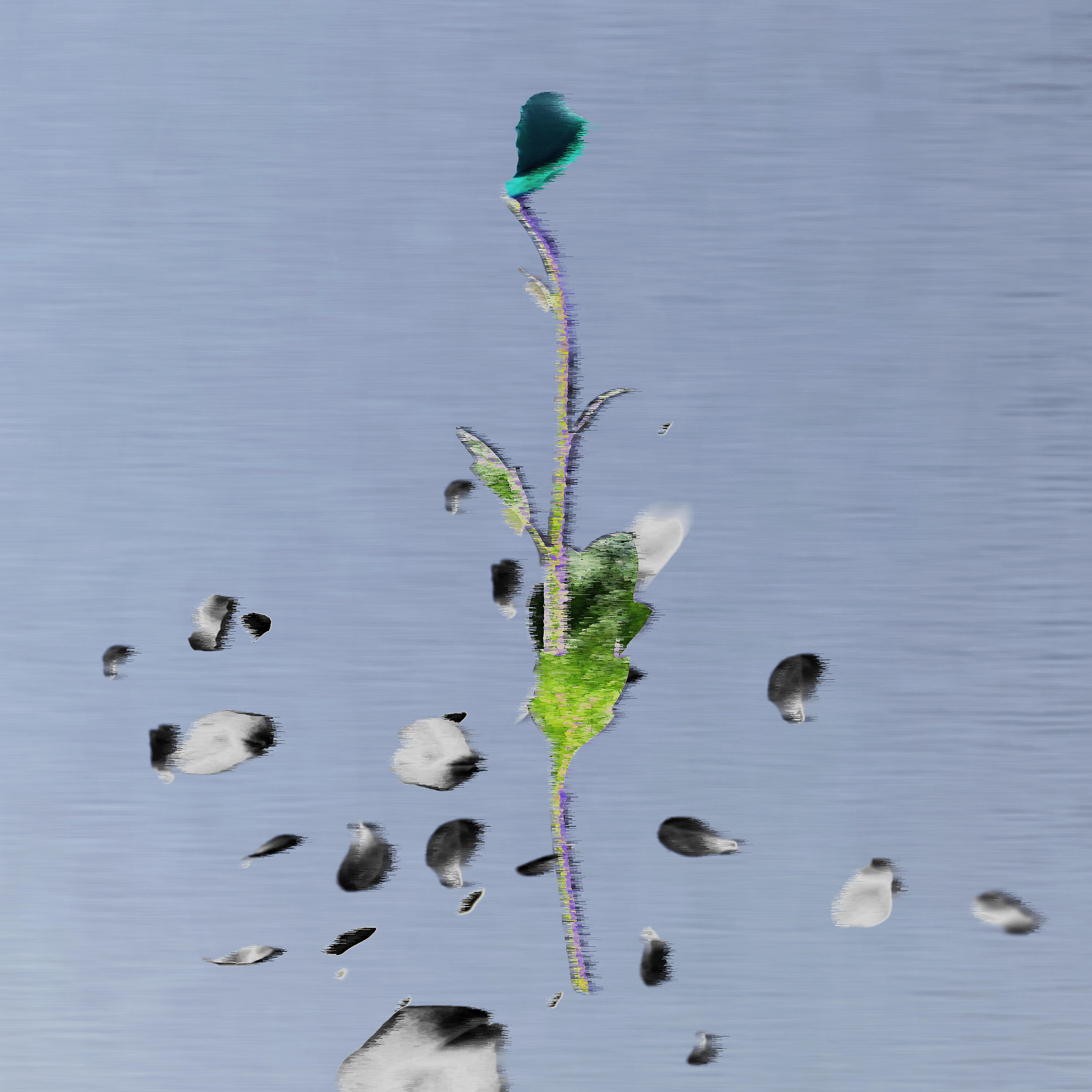 Релиз Лепесток