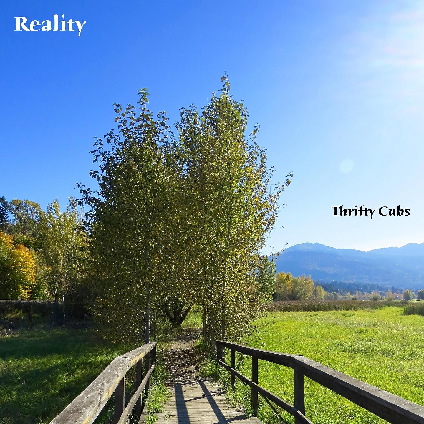 Thrifty Cubs