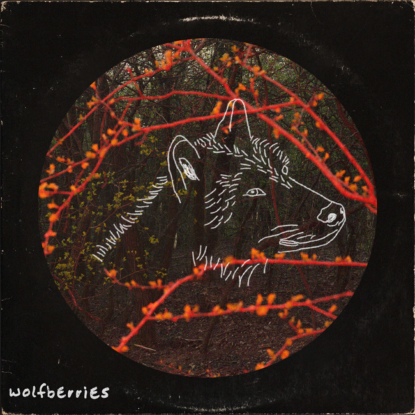 Релиз Wolfberries