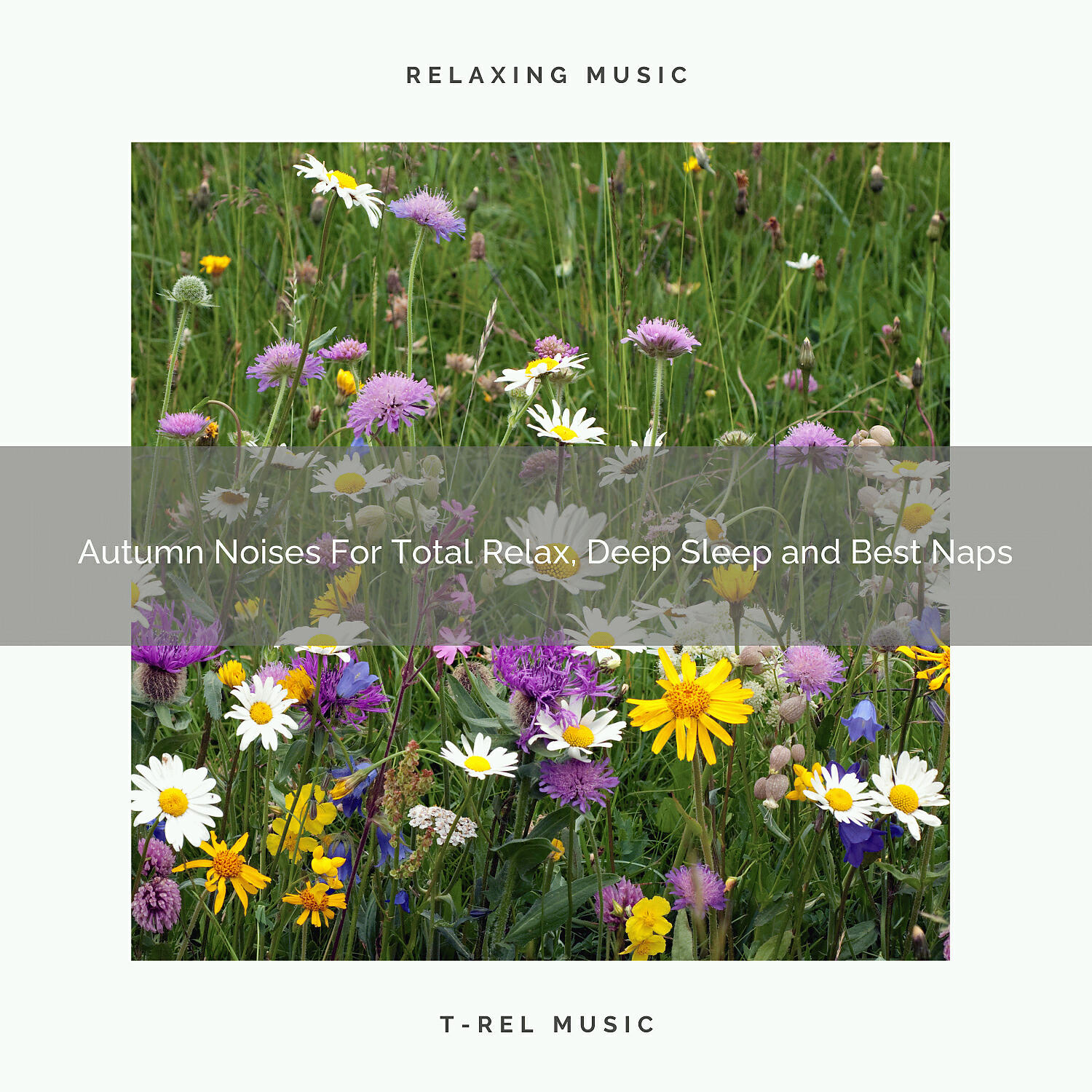 Релиз Autumn Noises For Total Relax, Deep Sleep and Best Naps