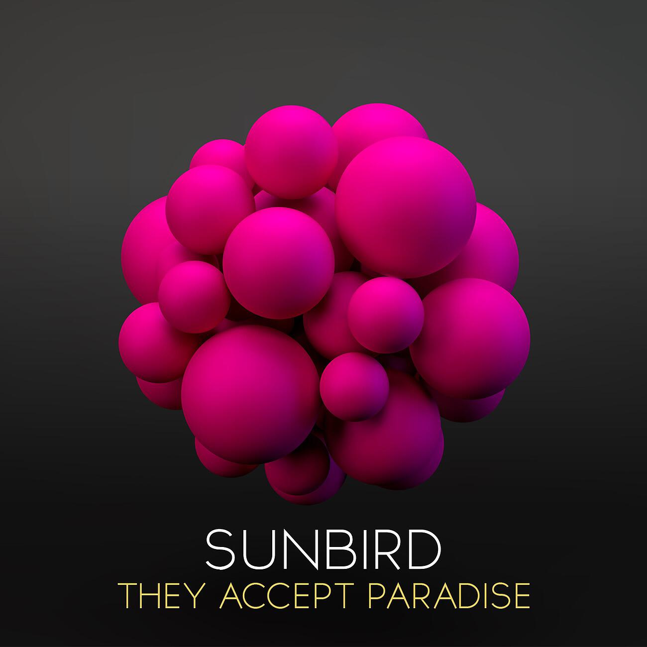 Релиз They Accept Paradise